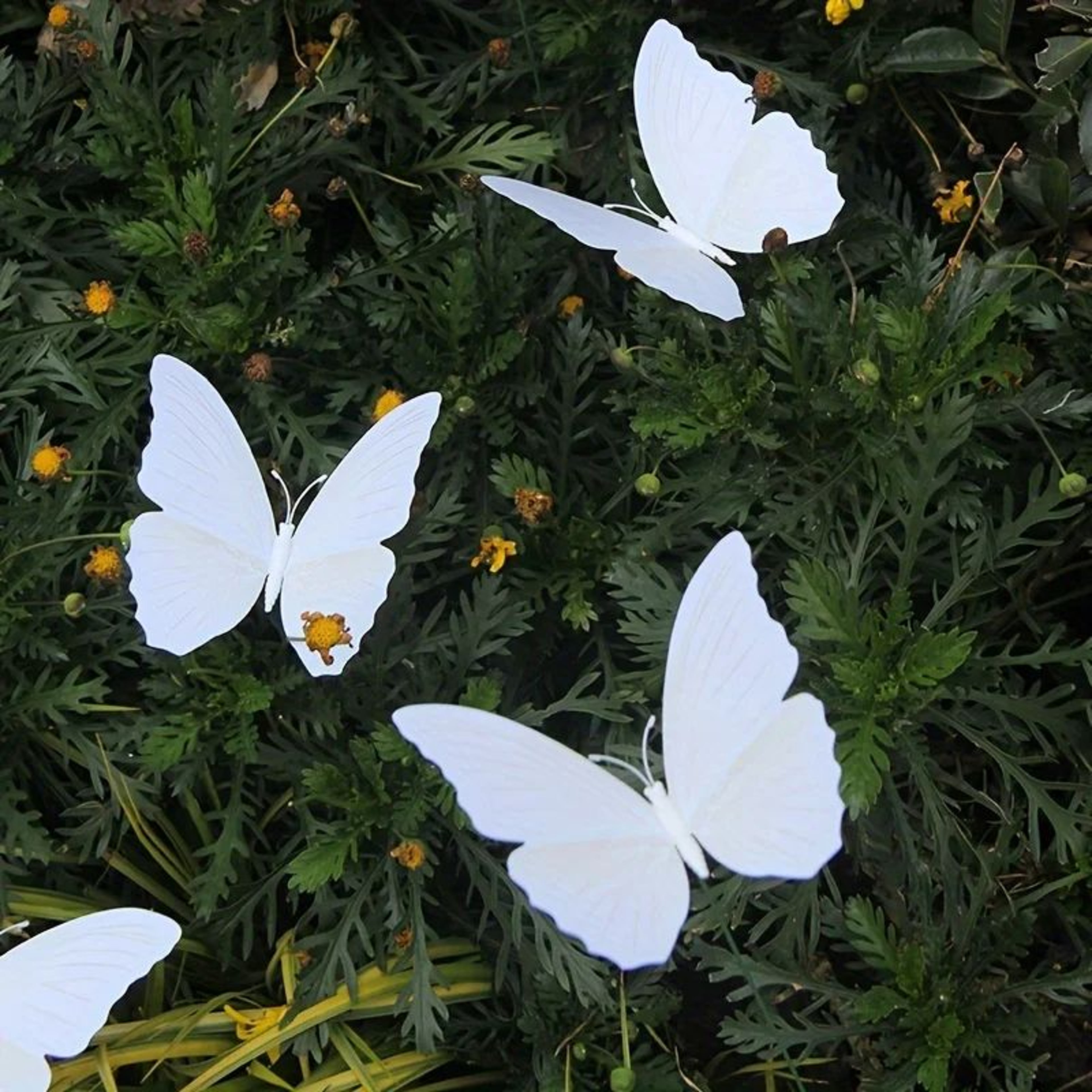 3D Butterfly Garden Stakes 3