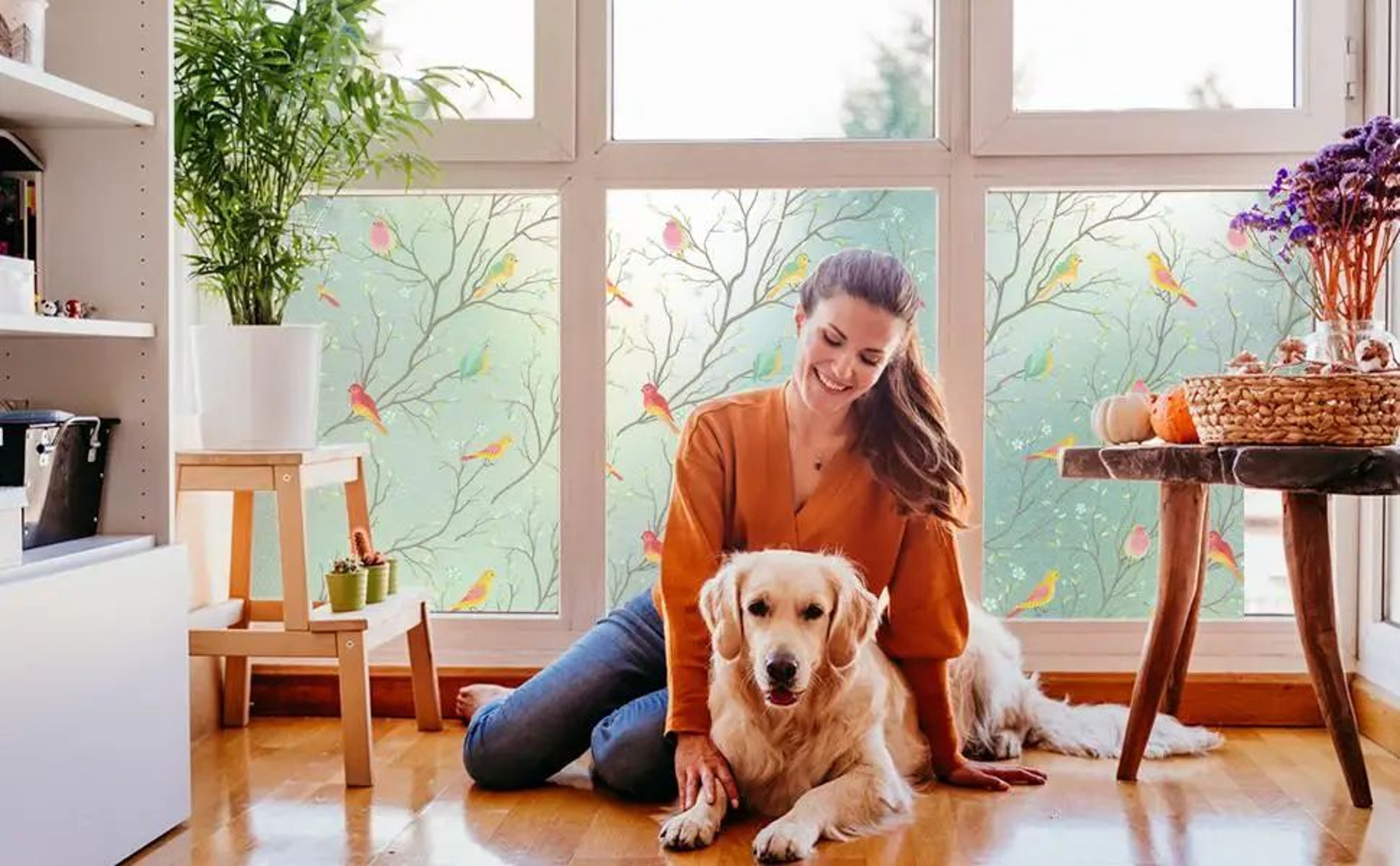 Frosted Privacy Window Film With Bird Decorative Decals 7