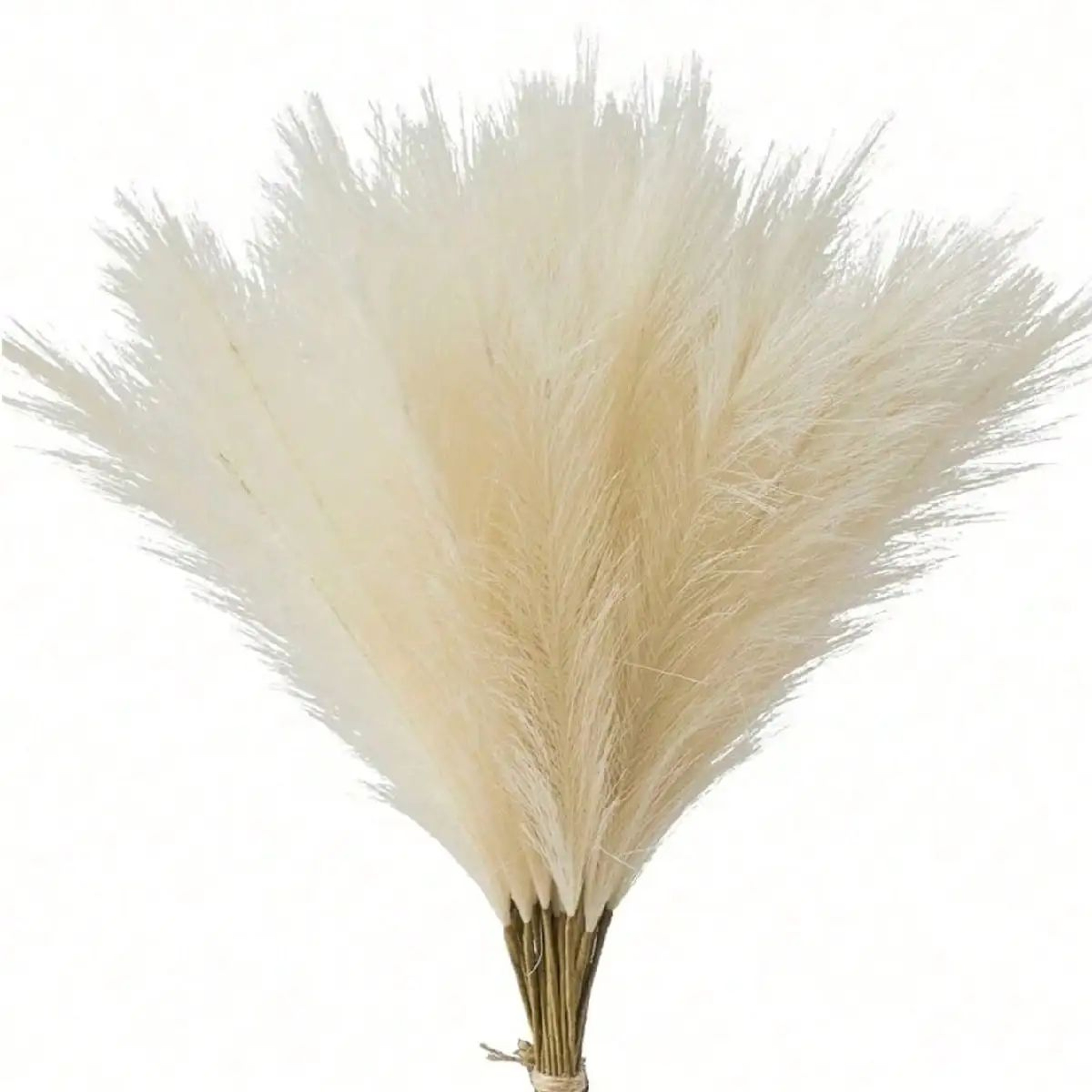 Artificial Pampas Grass Red Faux Reeds Decor 55cm Set 15