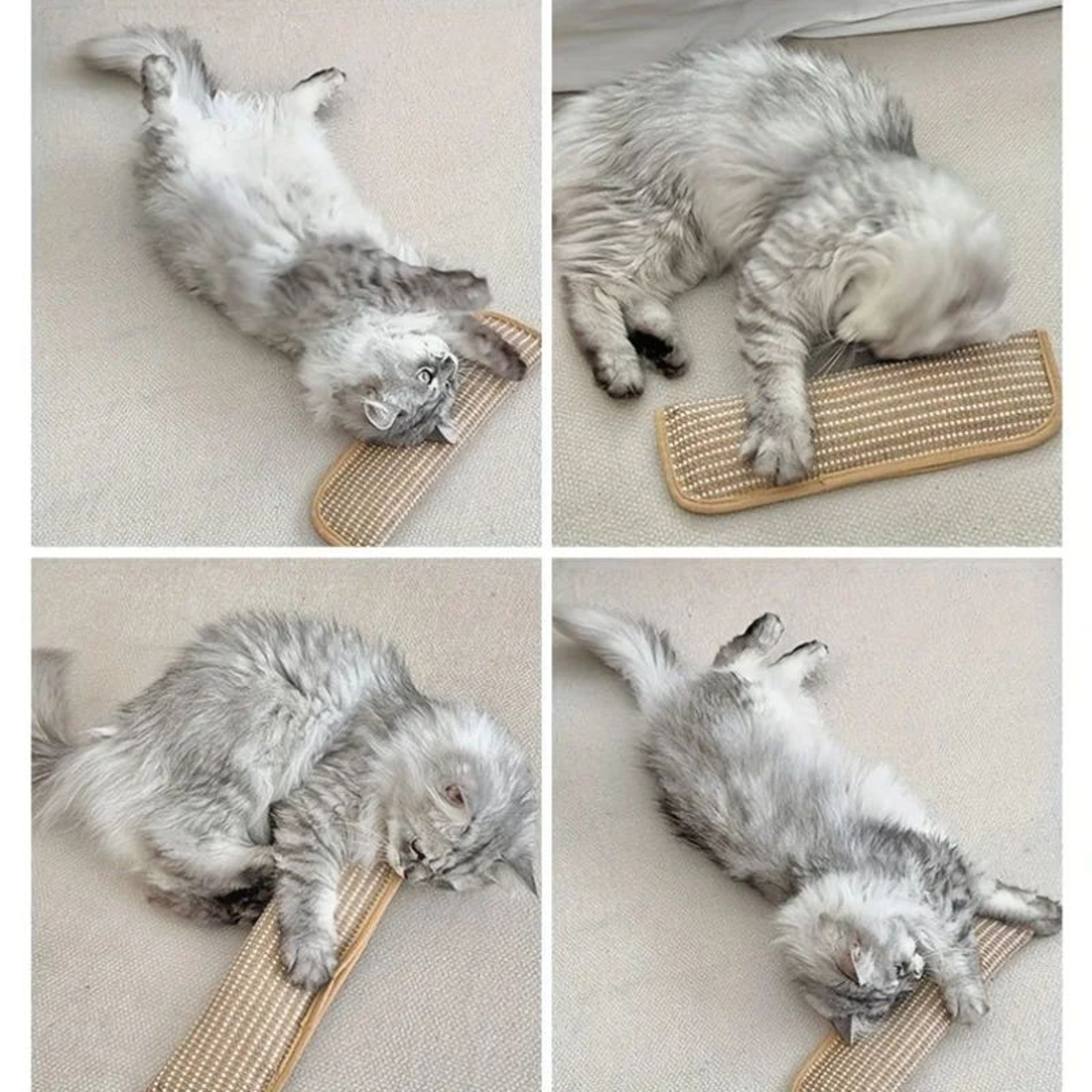 Sisal Cat Scratching Pad Bed With Cushion Non Slip Base 6