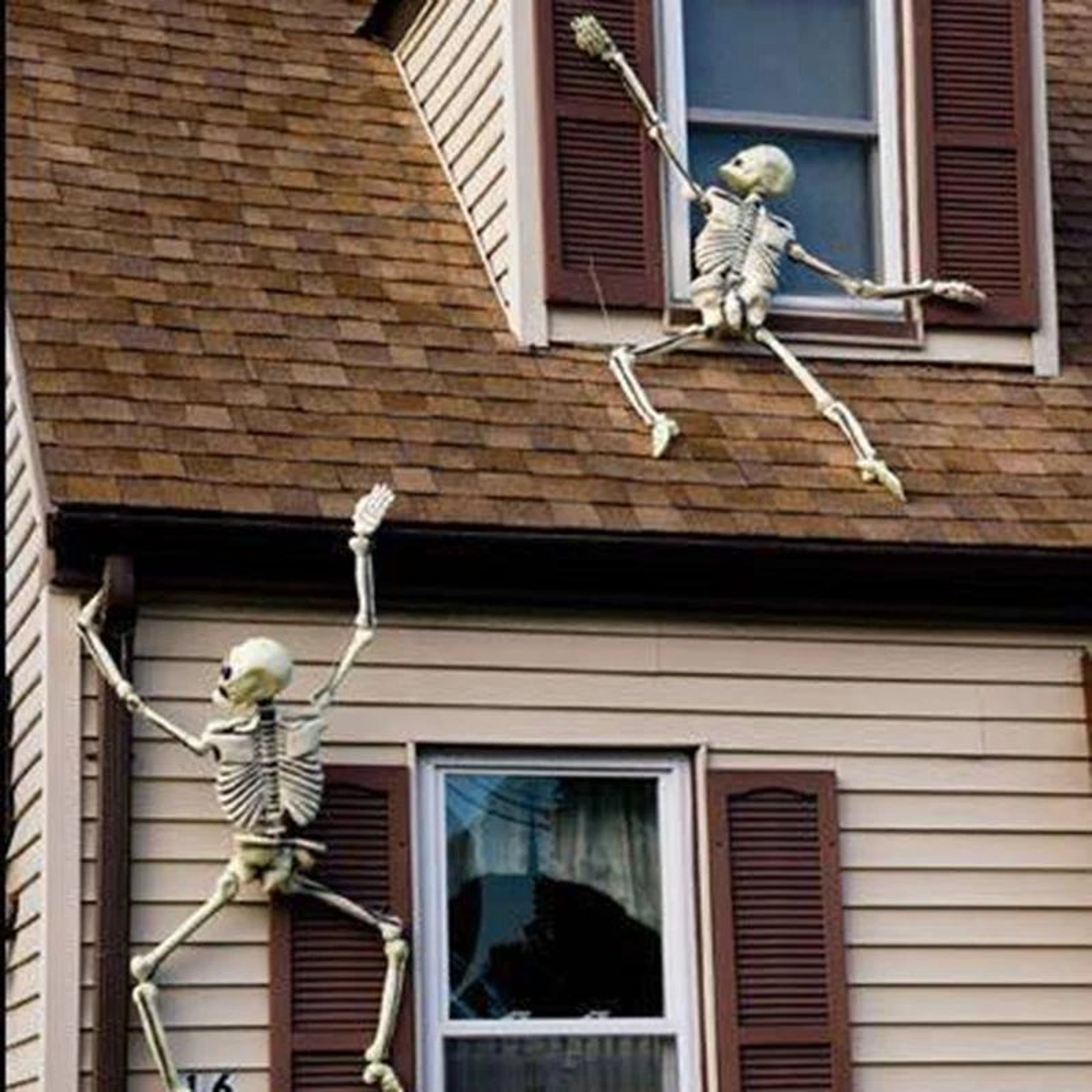 Halloween Skeleton Decor Humanoid Prop For Party And Home 5