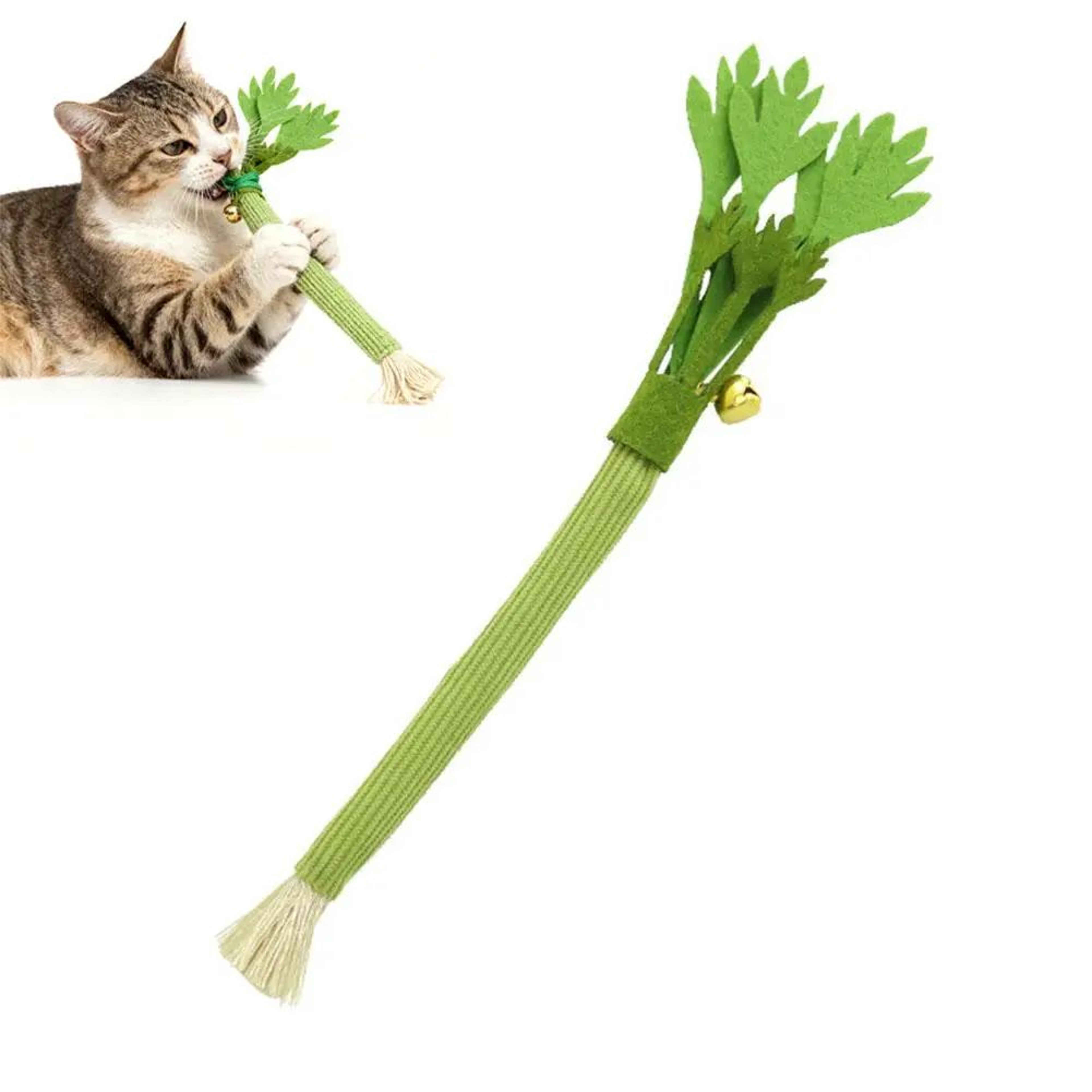 Natural Catnip Celery Chew Stick For Dental Care And Play 6
