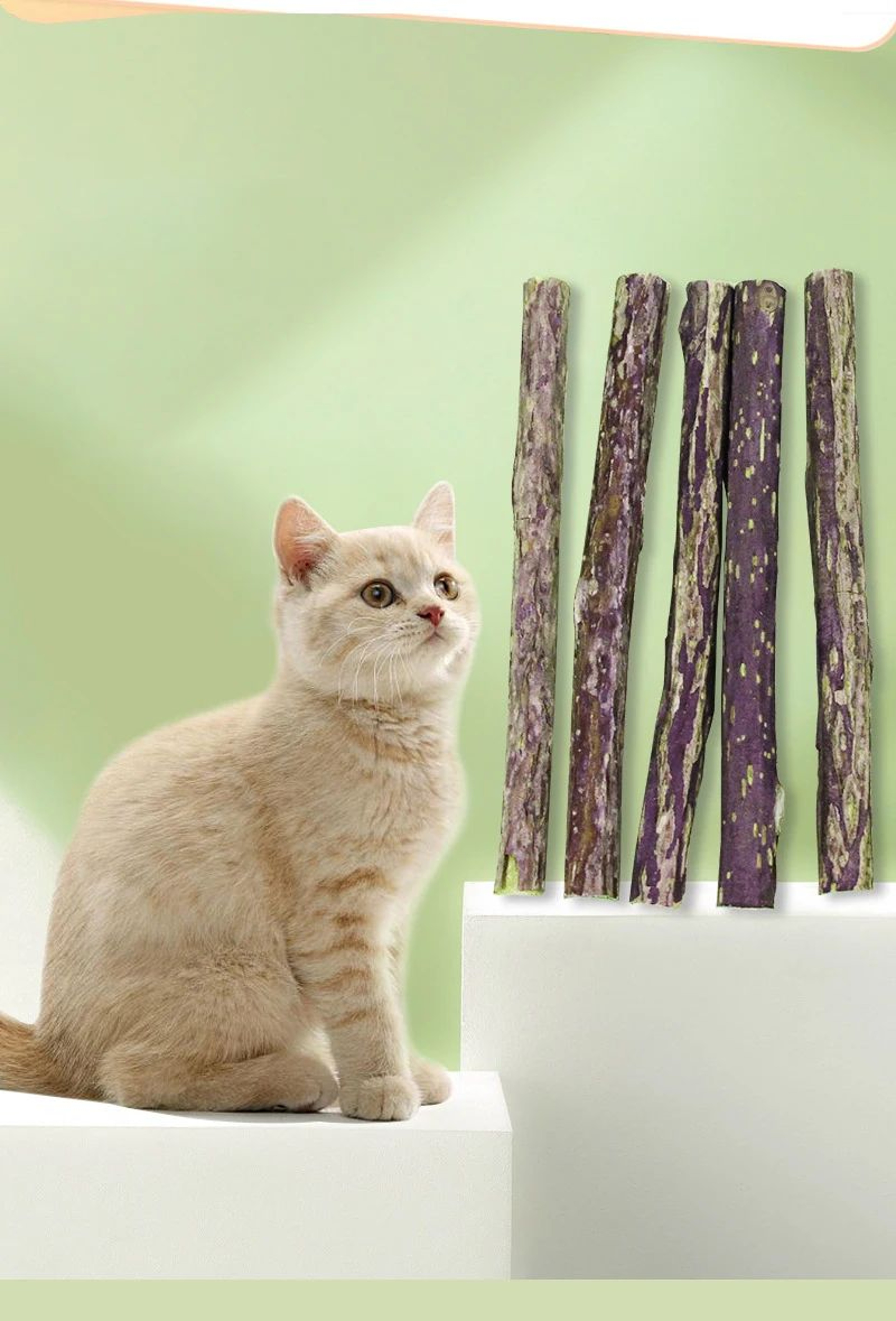 Natural Polygonum Dental Chew Stick For Cats 3