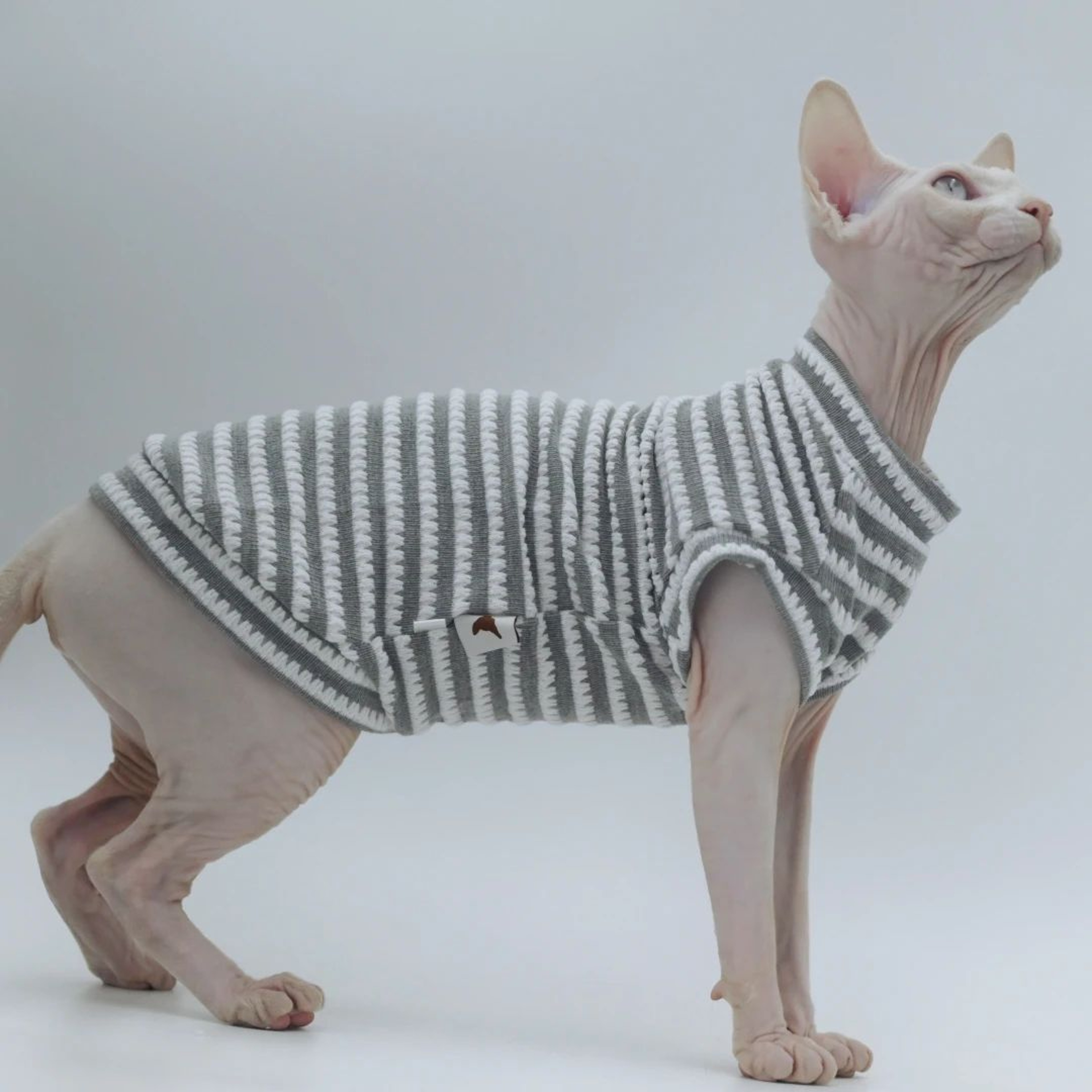 Summer Cooling Vest For Hairless Cats 2