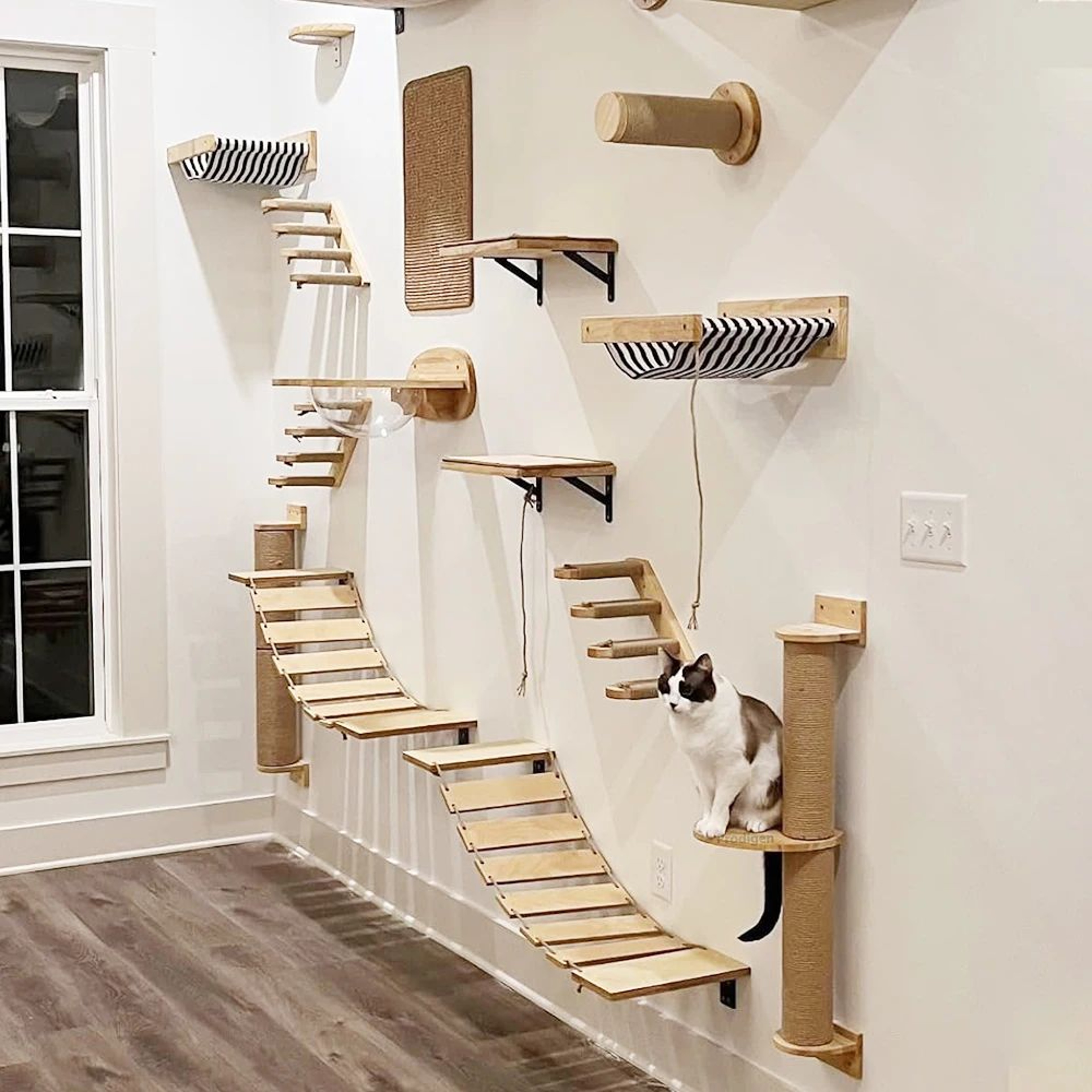 Modern Cat Wall Climbing Shelf And Activity Set 4