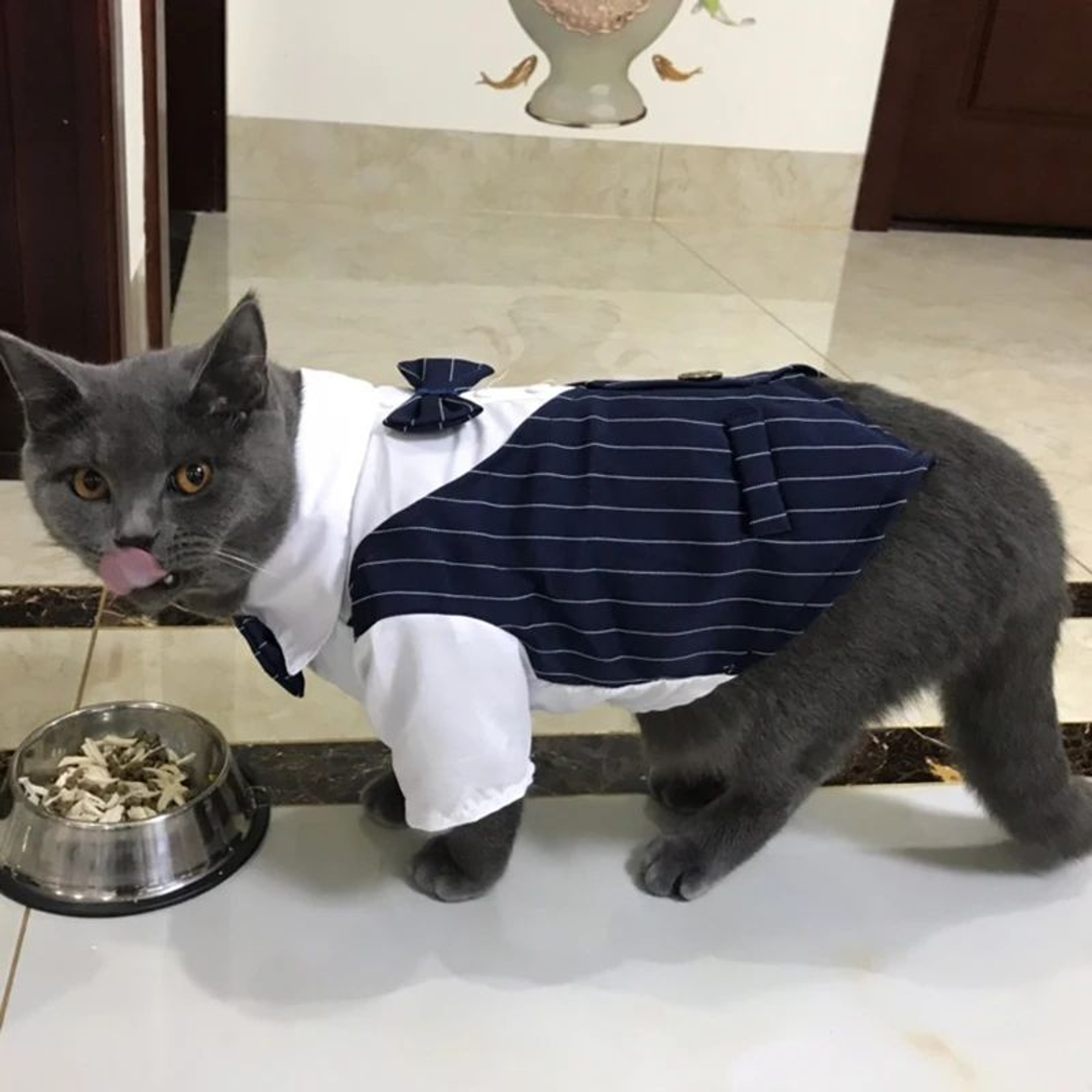 Formal Pet Suit Jacket For Cats And Small Dogs 5