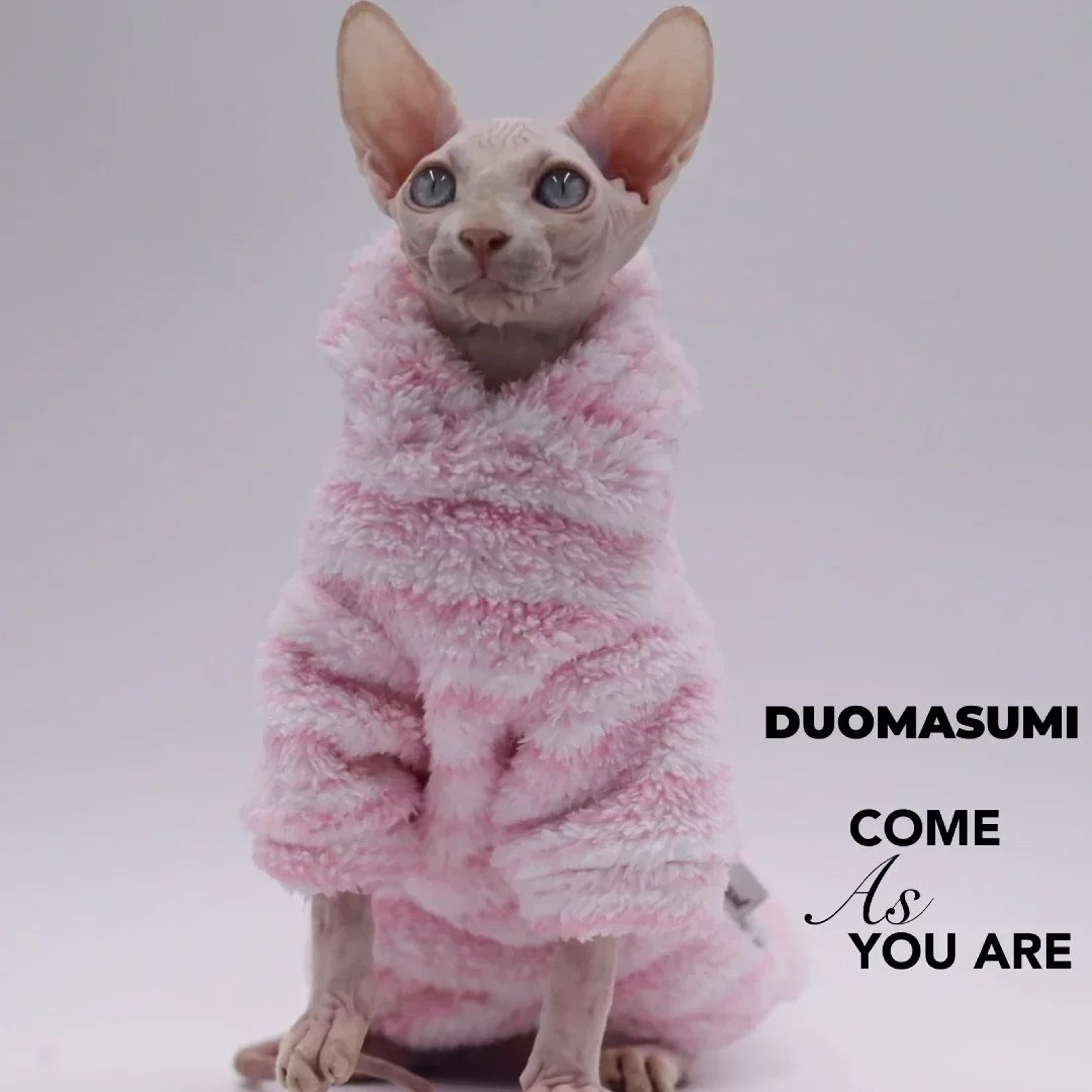 Fluffy Double Sided Winter Jacket For Sphynx Cats 1
