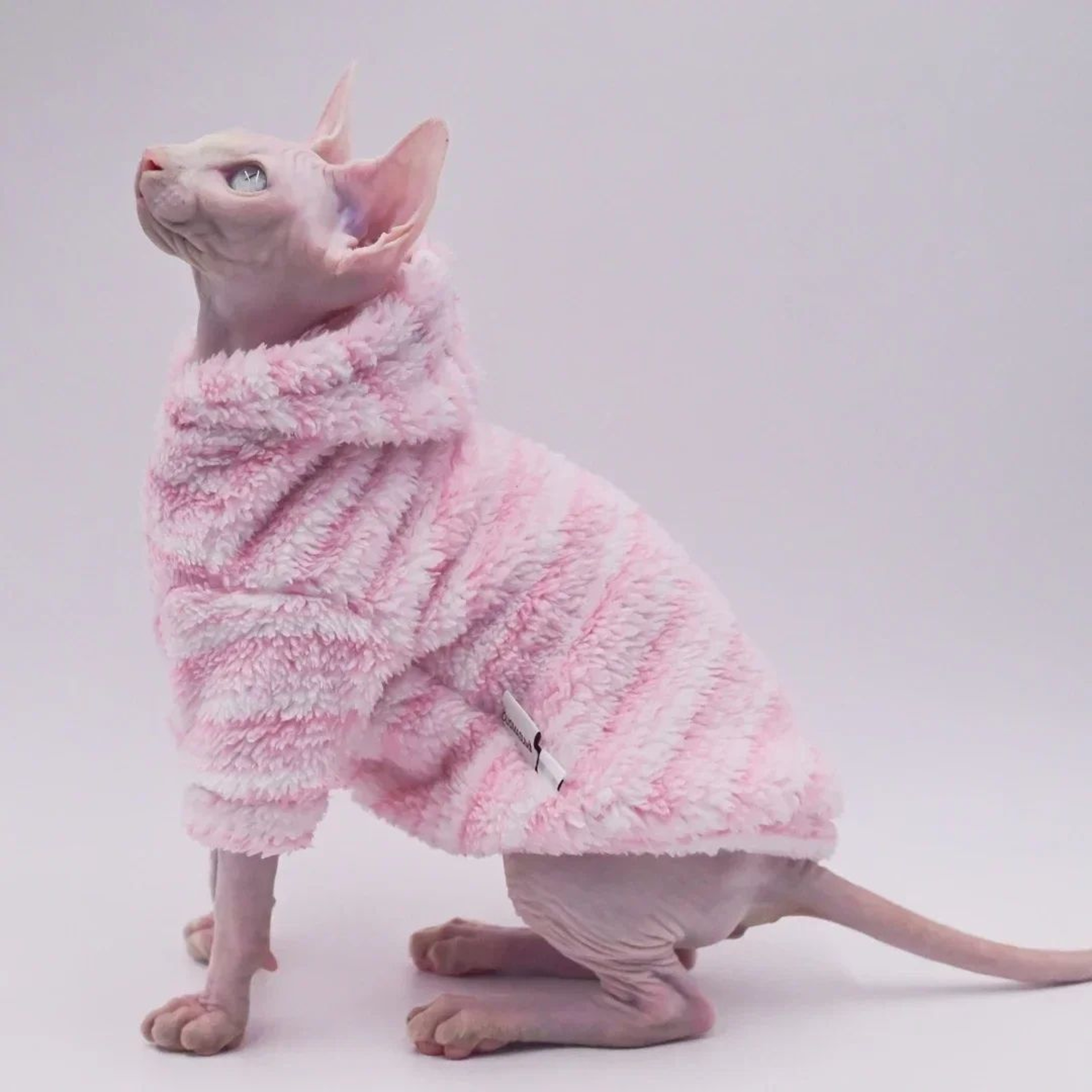 Fluffy Double Sided Winter Jacket For Sphynx Cats 4