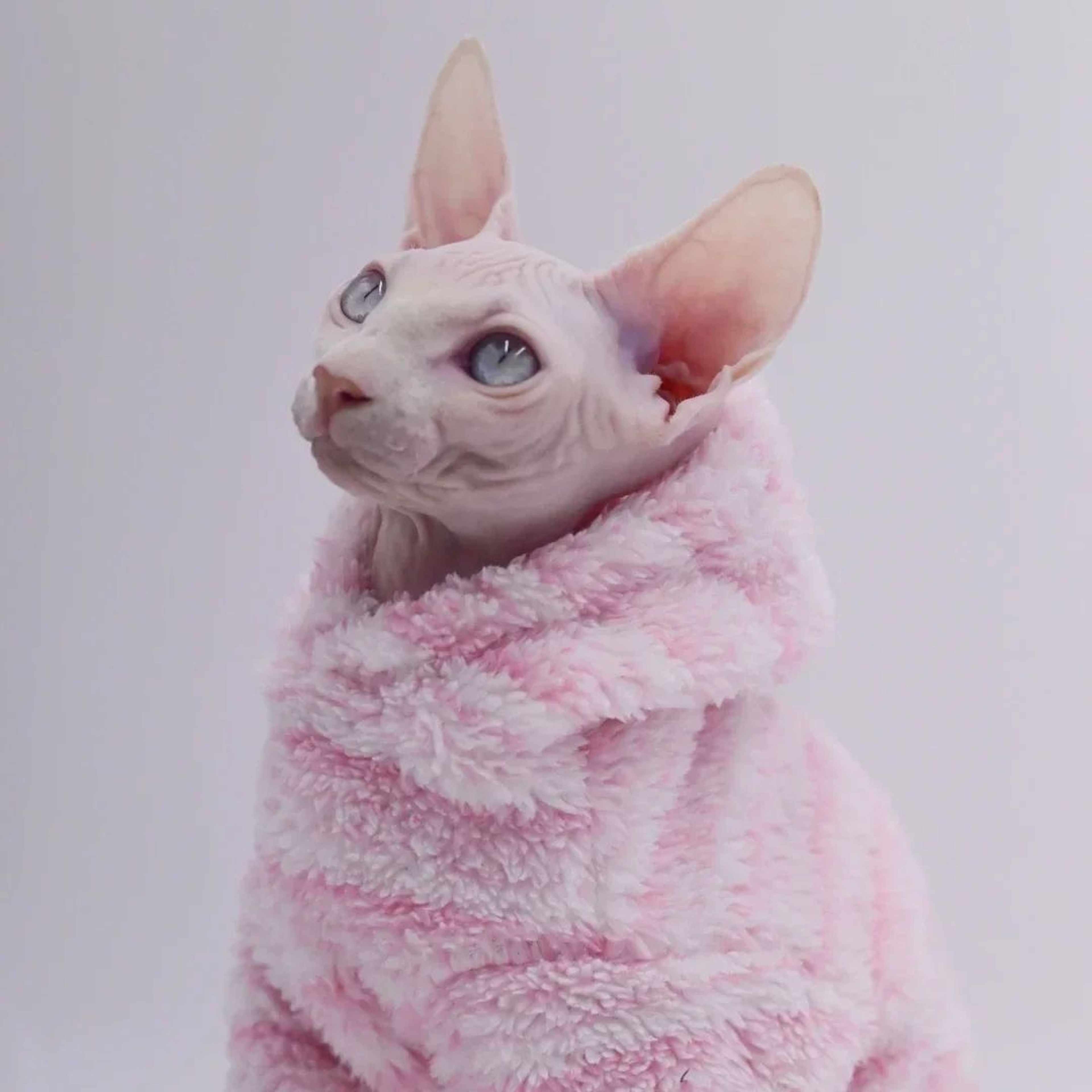 Fluffy Double Sided Winter Jacket For Sphynx Cats 5