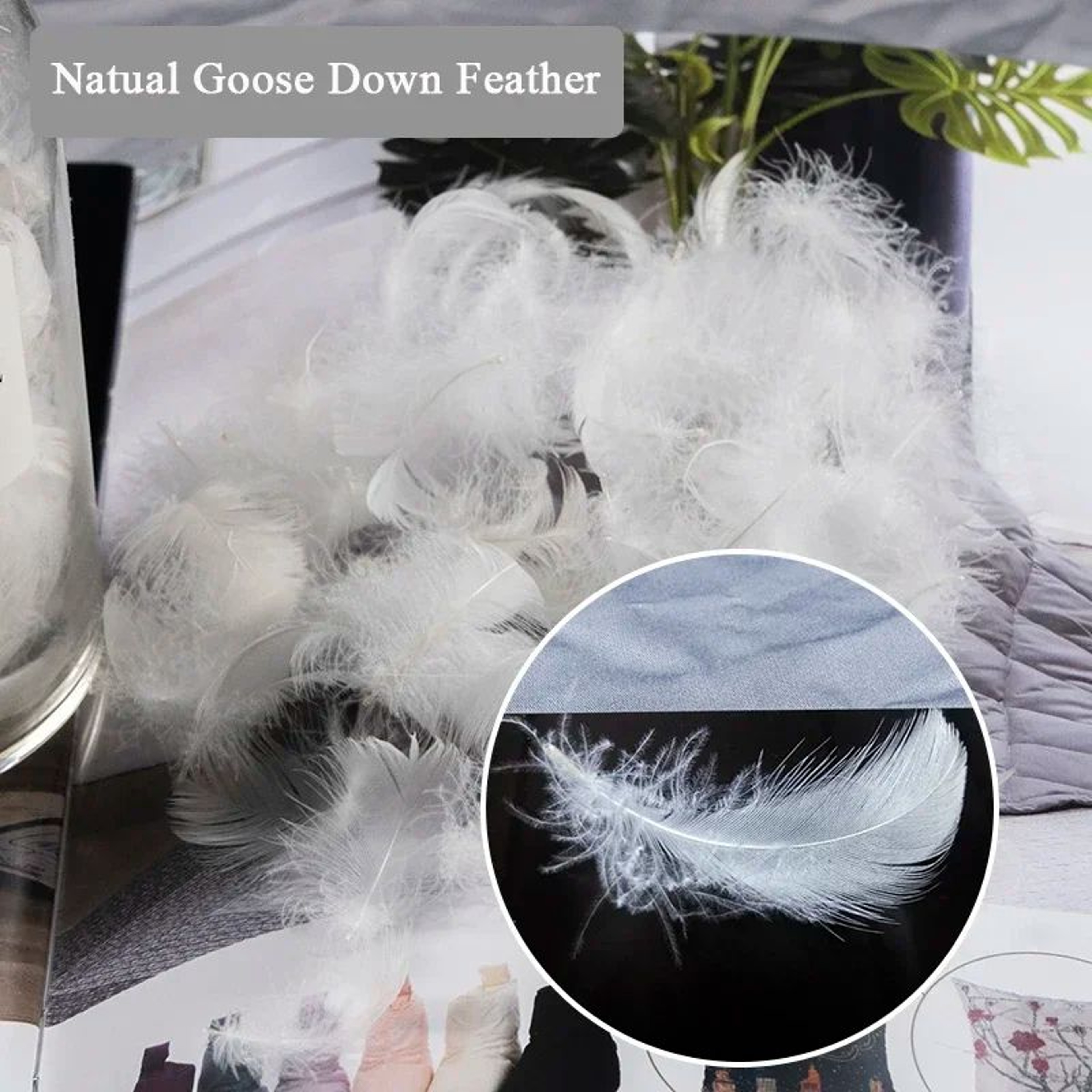 Cotton Goose Down Feather Cushion Insert For Sofa And Bed 3