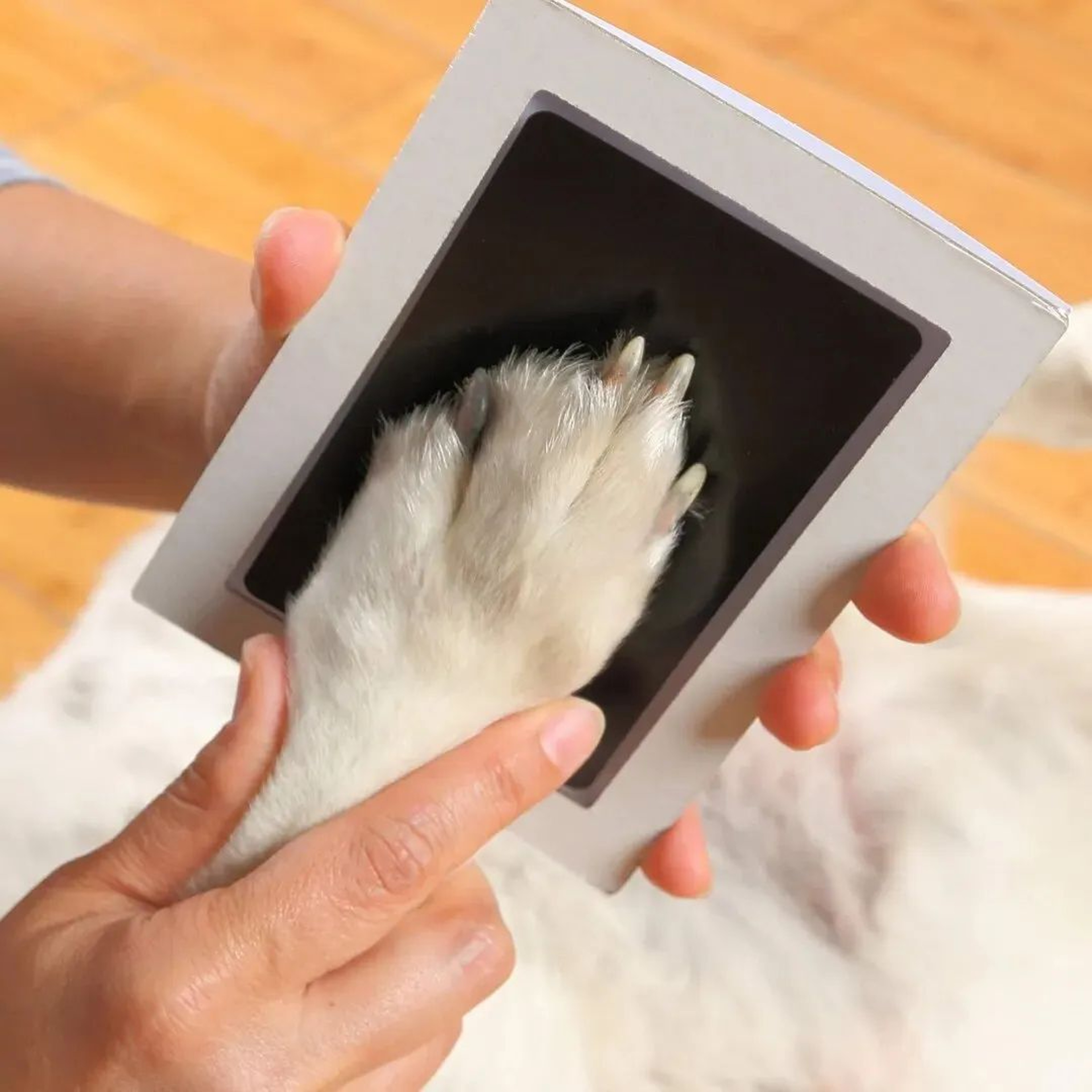 CleanTouch Inkless Pet Paw Print Keepsake Kit For Dogs  Cats 2