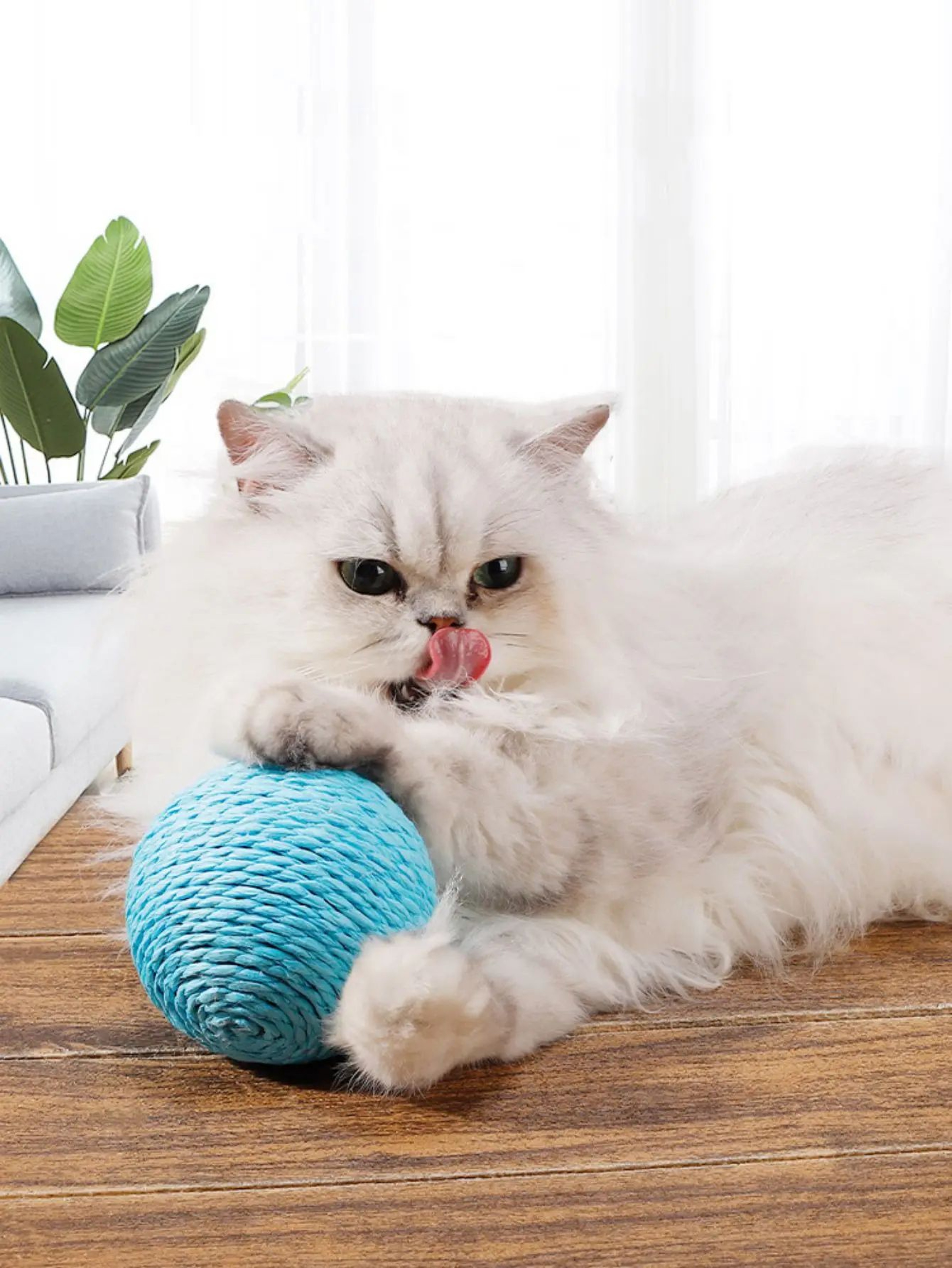 Interactive Sisal Cat Scratching Ball For Teeth Cleaning  Play 5