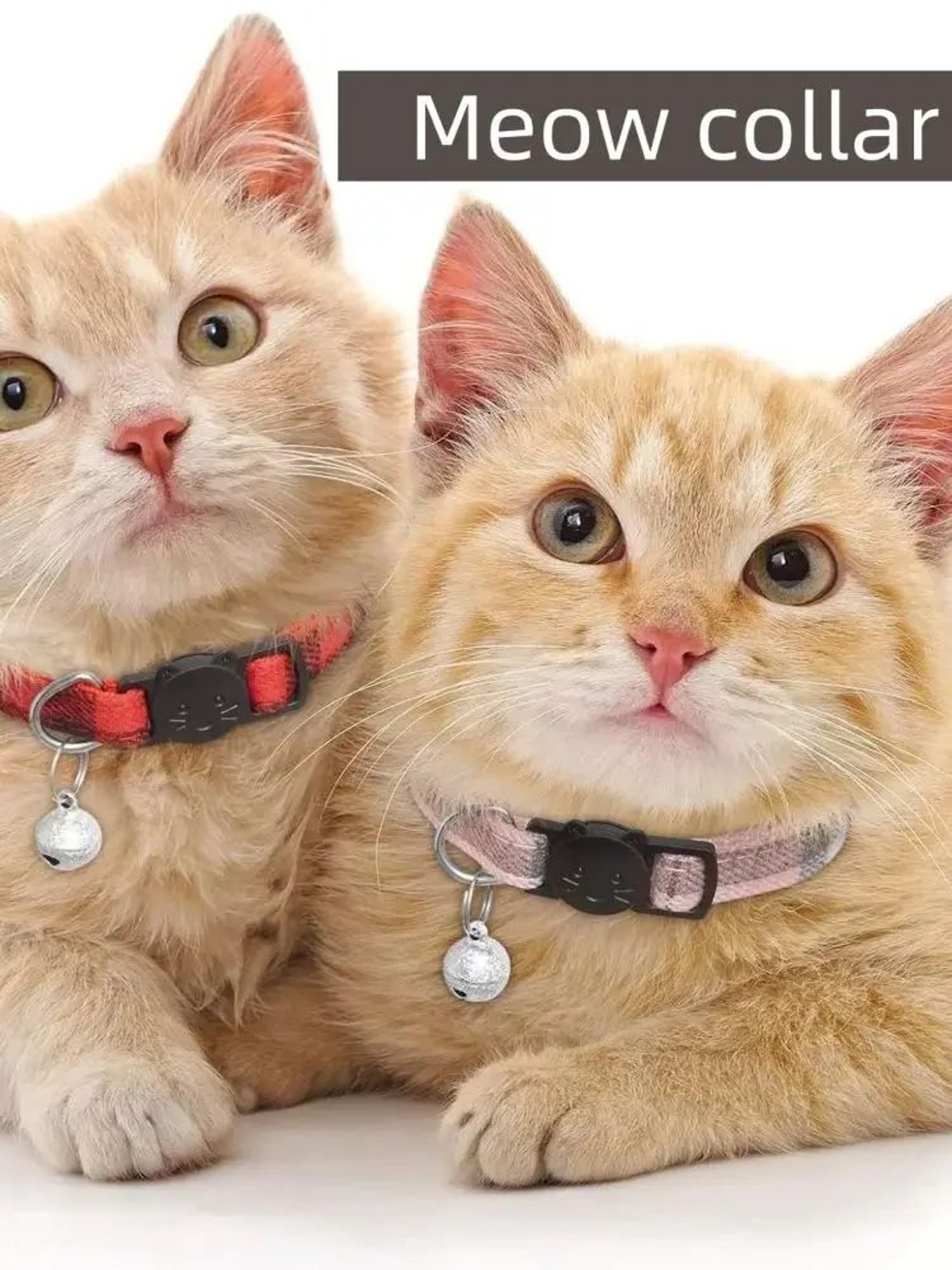 SafeGlow Reflective Breakaway Cat Collar With Bell 2