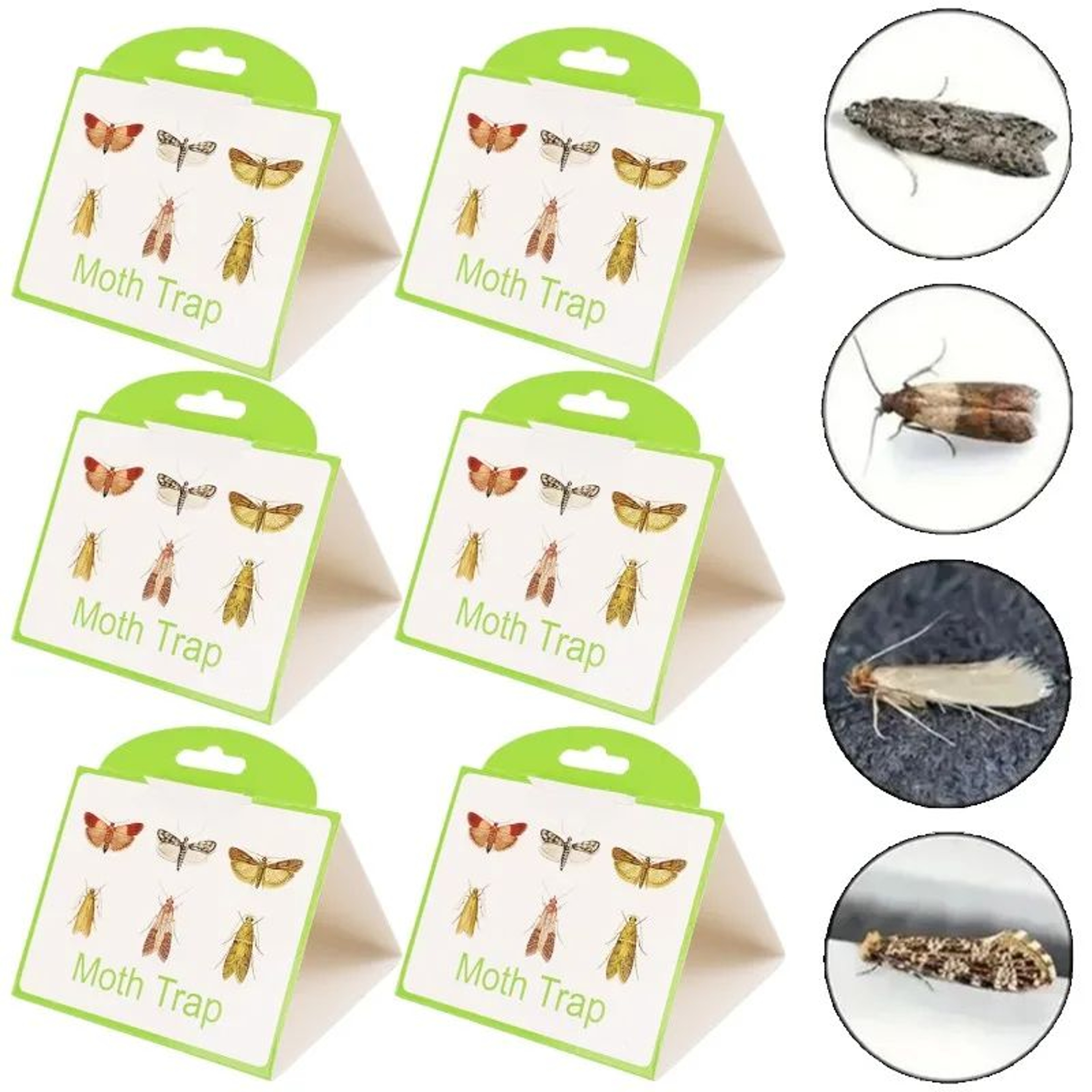 SafeGuard NonToxic Pantry  Clothes Moth Traps 4