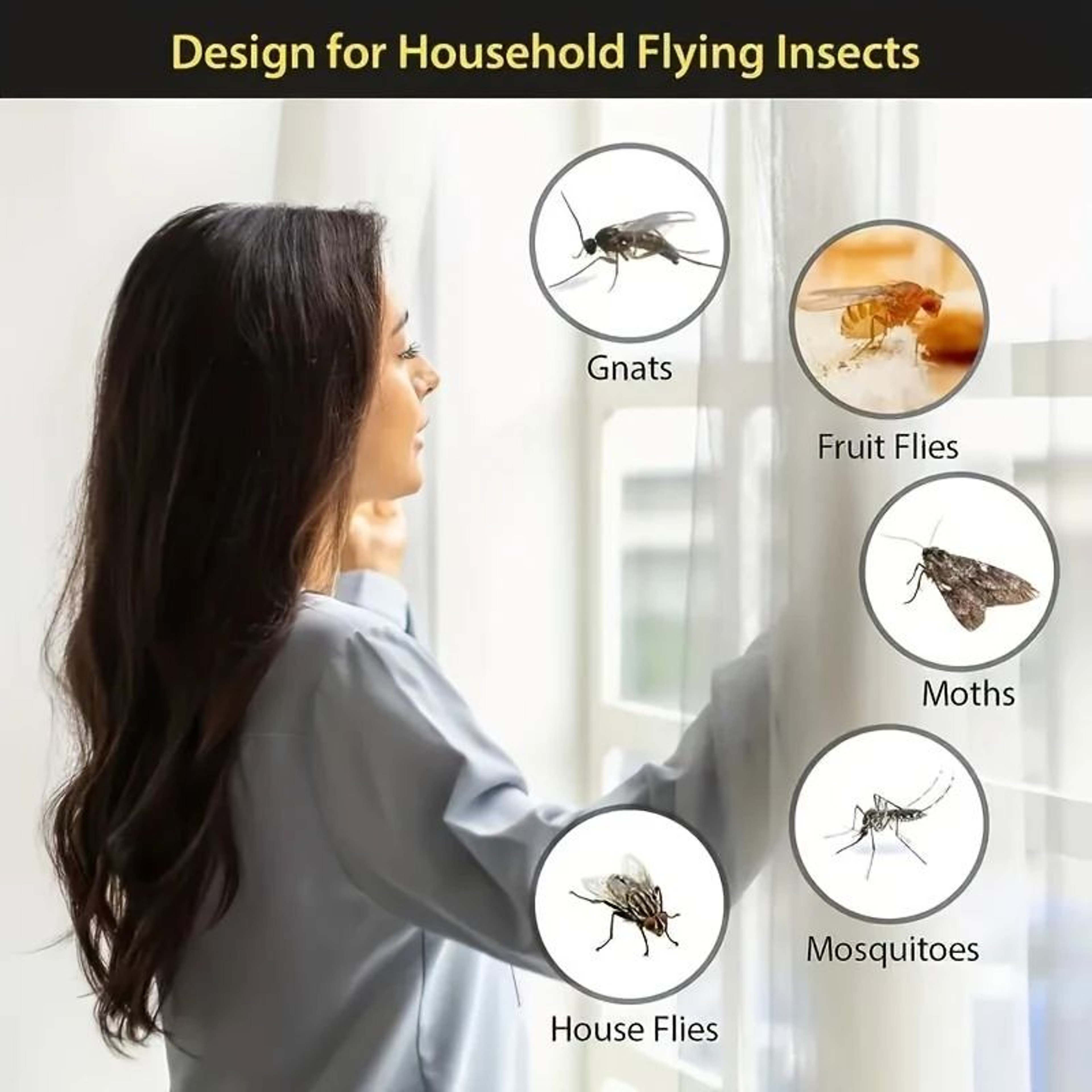 ClearGuard Transparent Window Fly Traps For Indoor Flying Insects 2