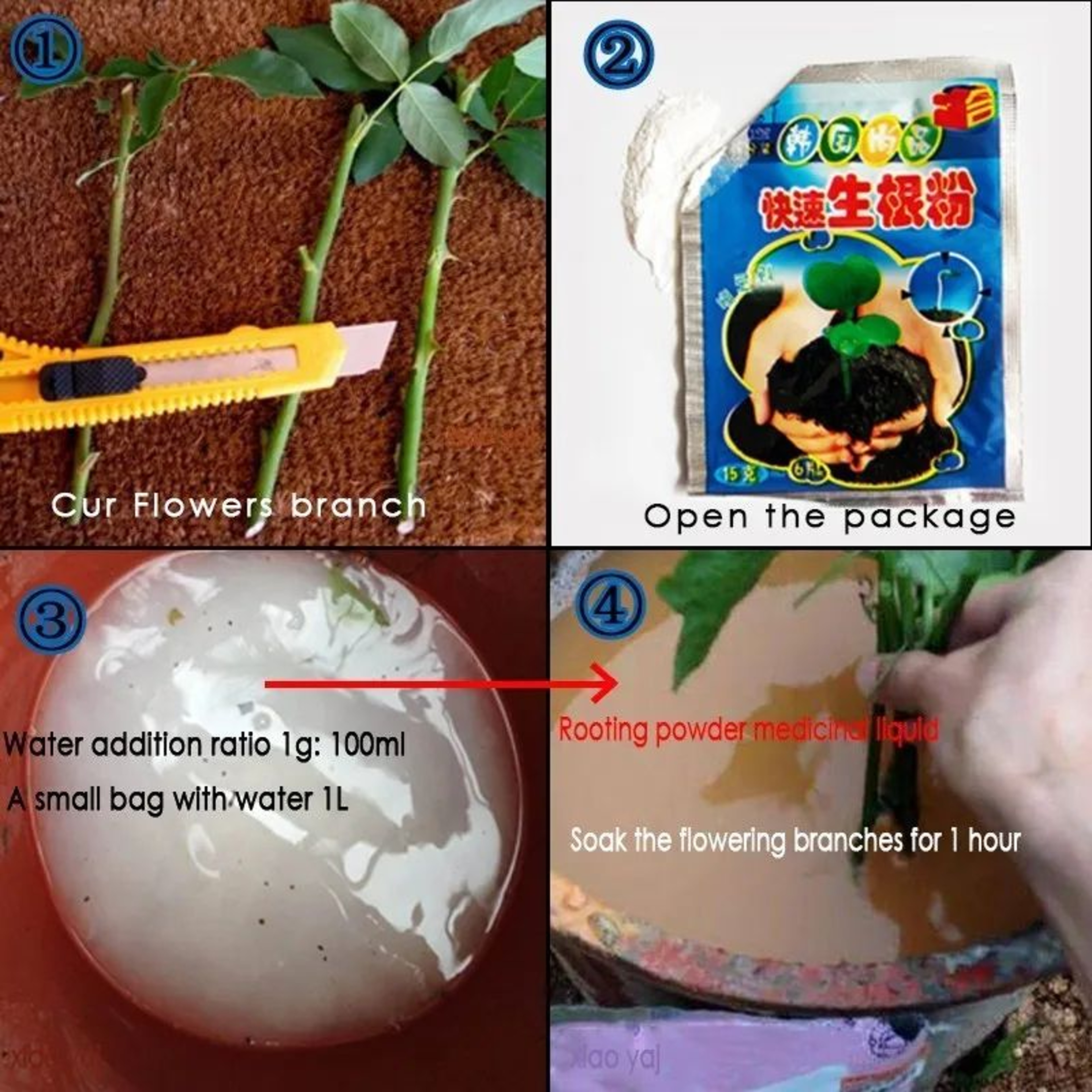 10PCS 10g Rooting Powder For Cuttings Plant Root Hormone And Root Stimulator 4