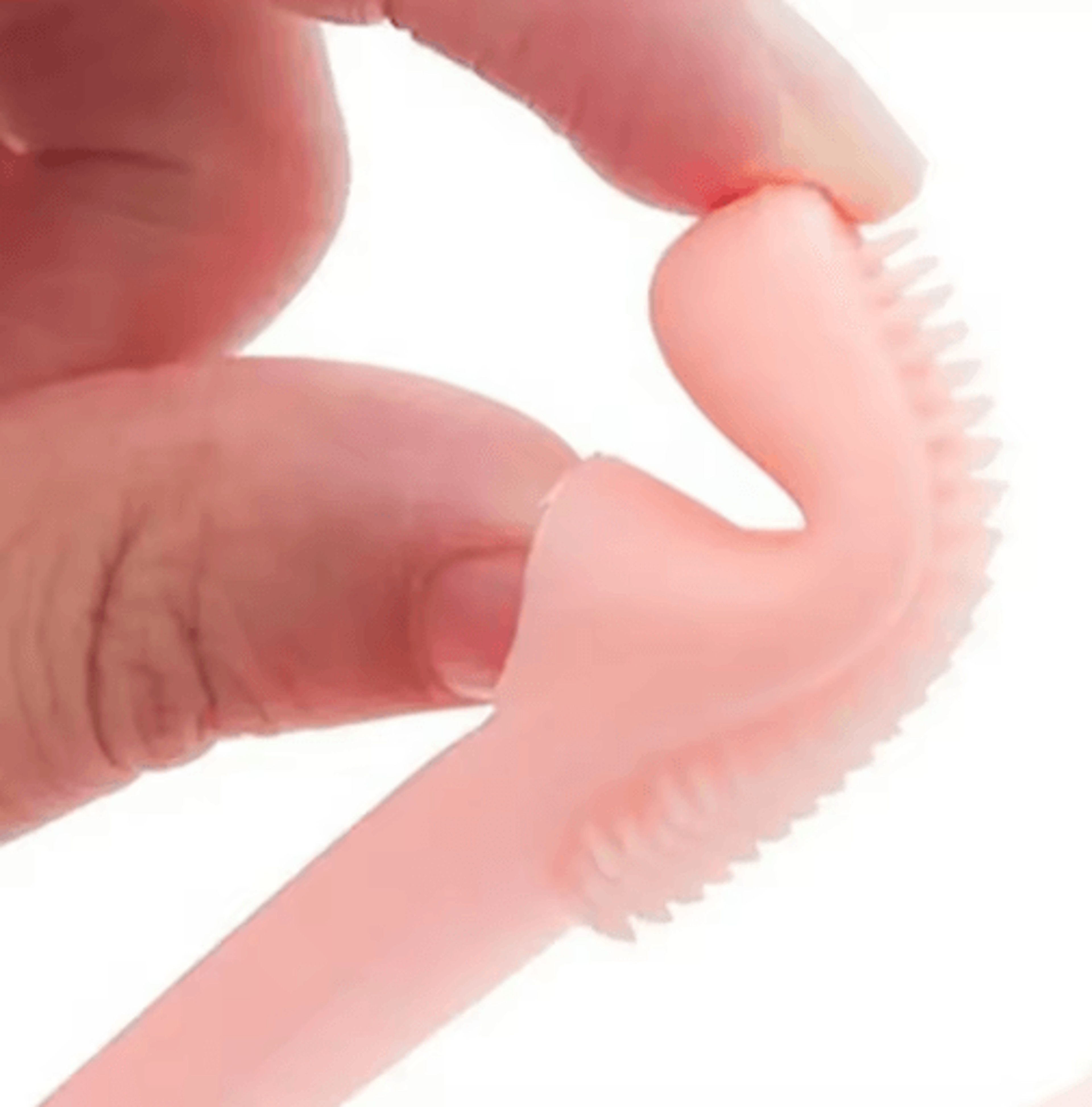 Pet Silicone Finger Toothbrush Soft Cleaning Brush For Dog And Cat Teeth Nose And Face Care 5