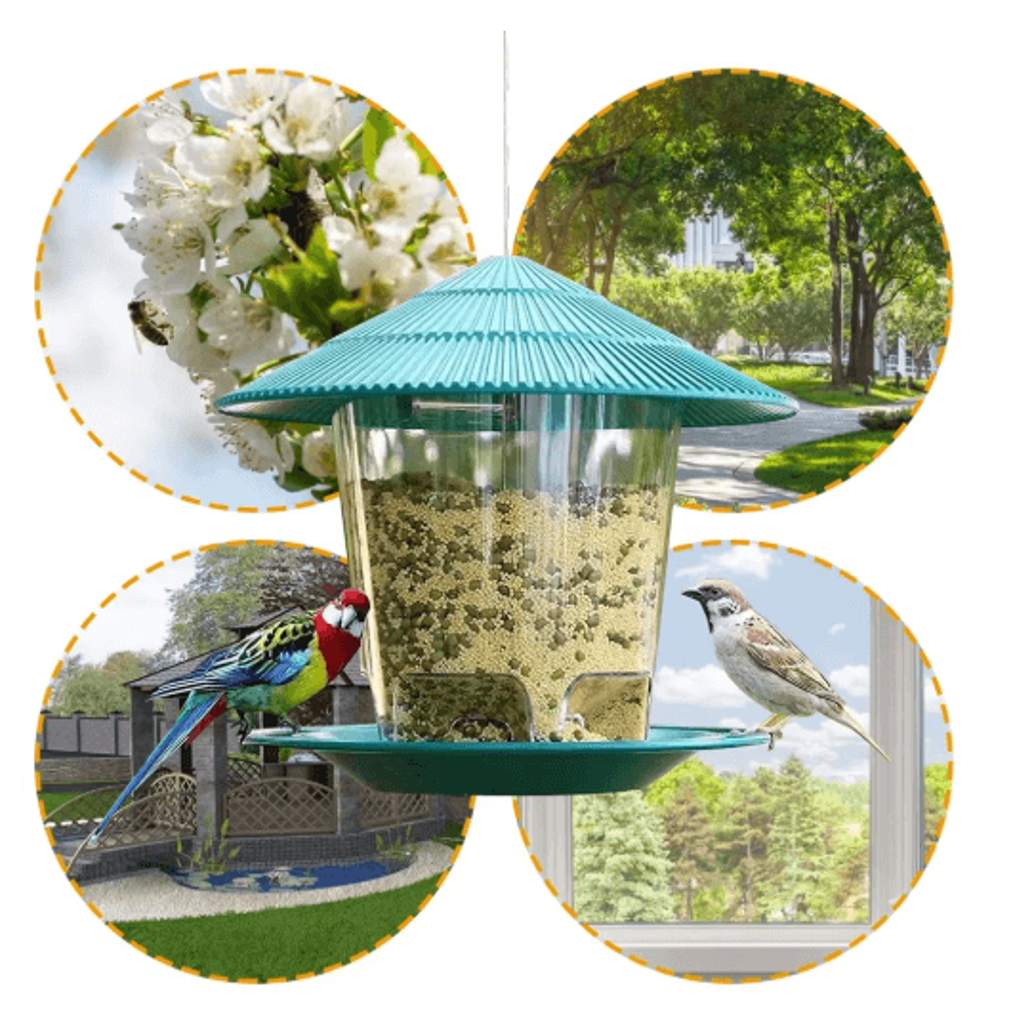 PerchSmart Automatic Bird Feeder Hanging Multi Hole Outdoor Bird Feeder Dispenser 4