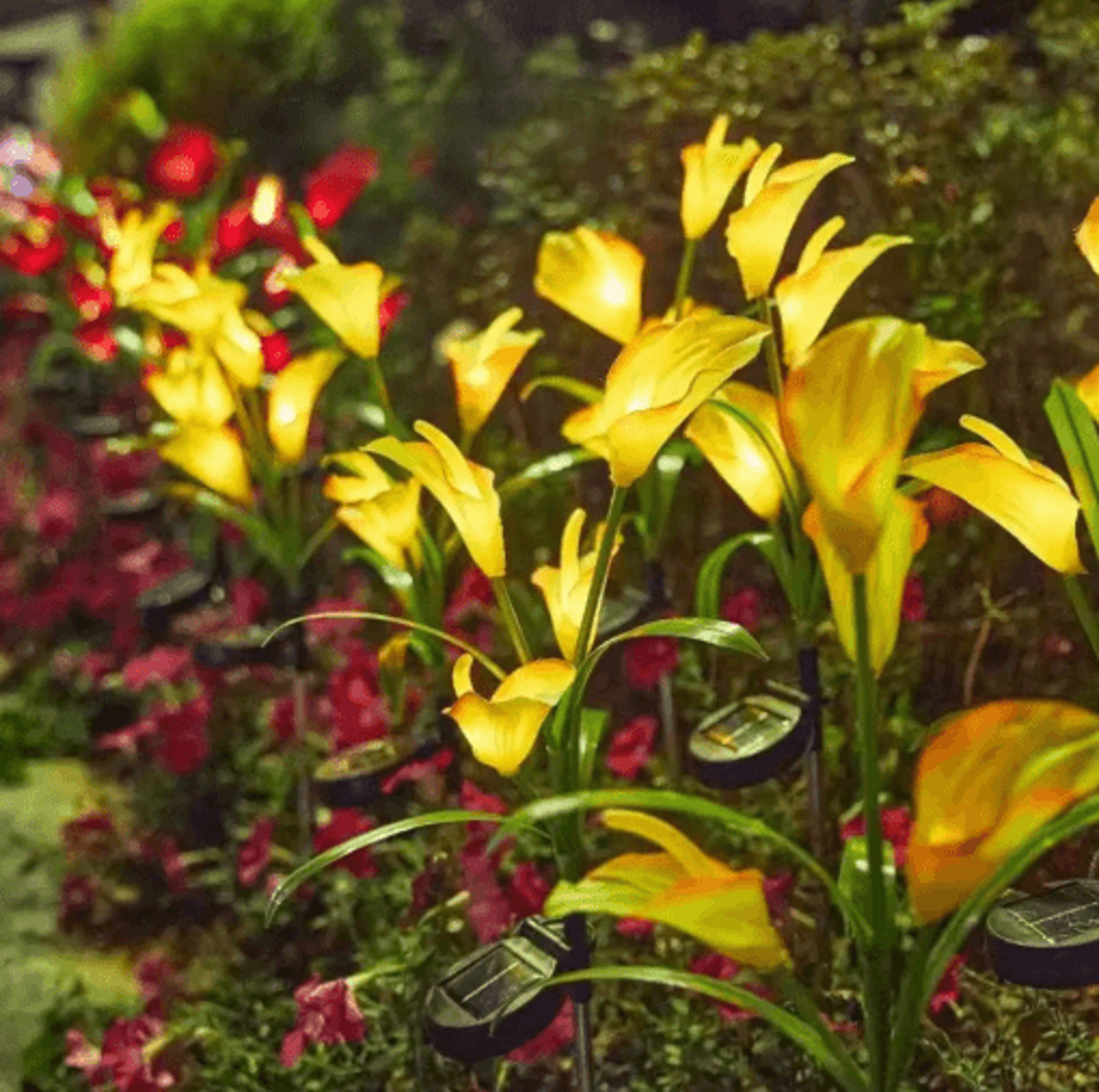Solar Calla Lily Flower Garden Lights  Waterproof LED Outdoor Stake Decor 7