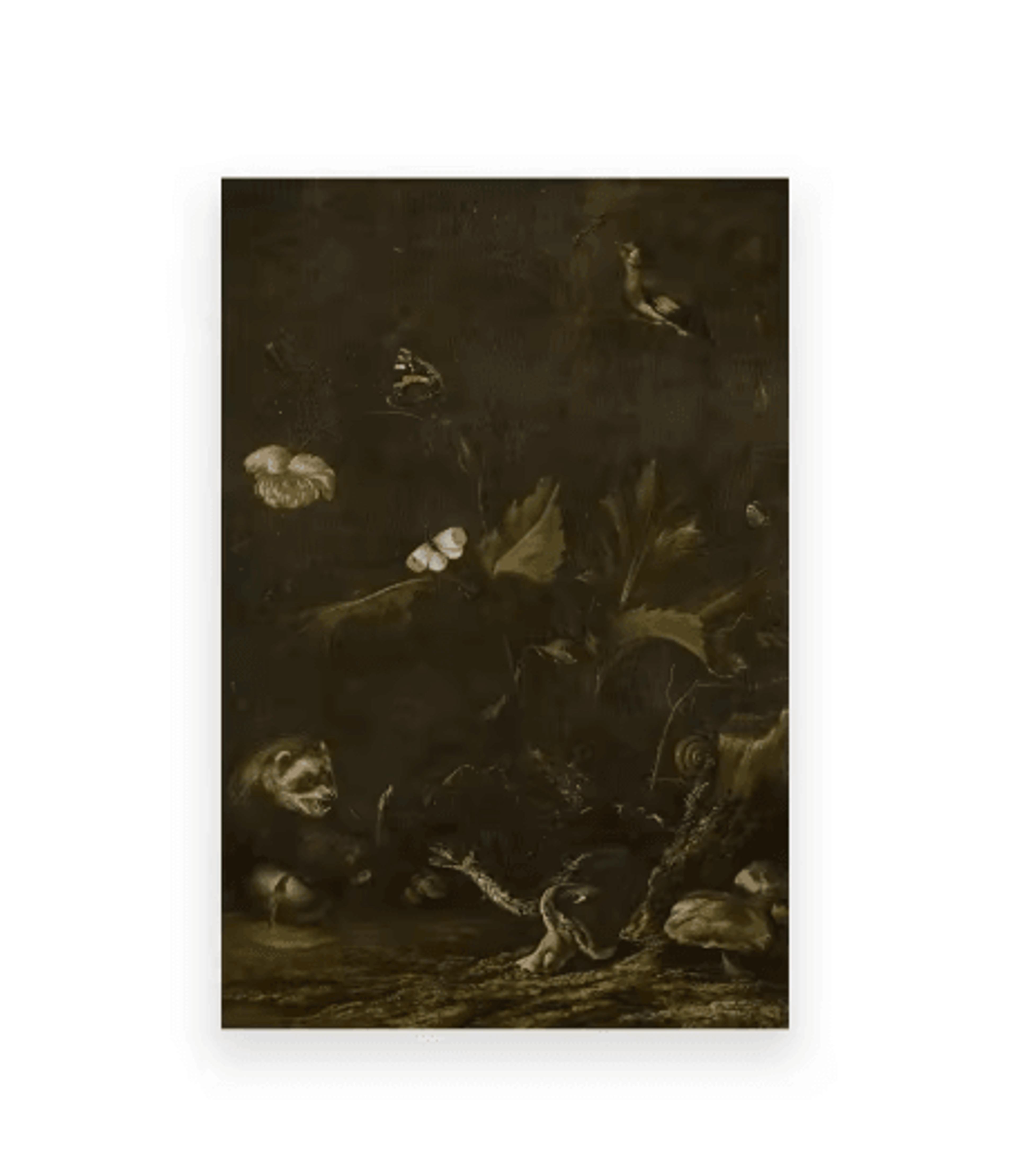 Vintage Owl Wall Art Moody Cottagecore Dark Academia Nature Canvas Print 4