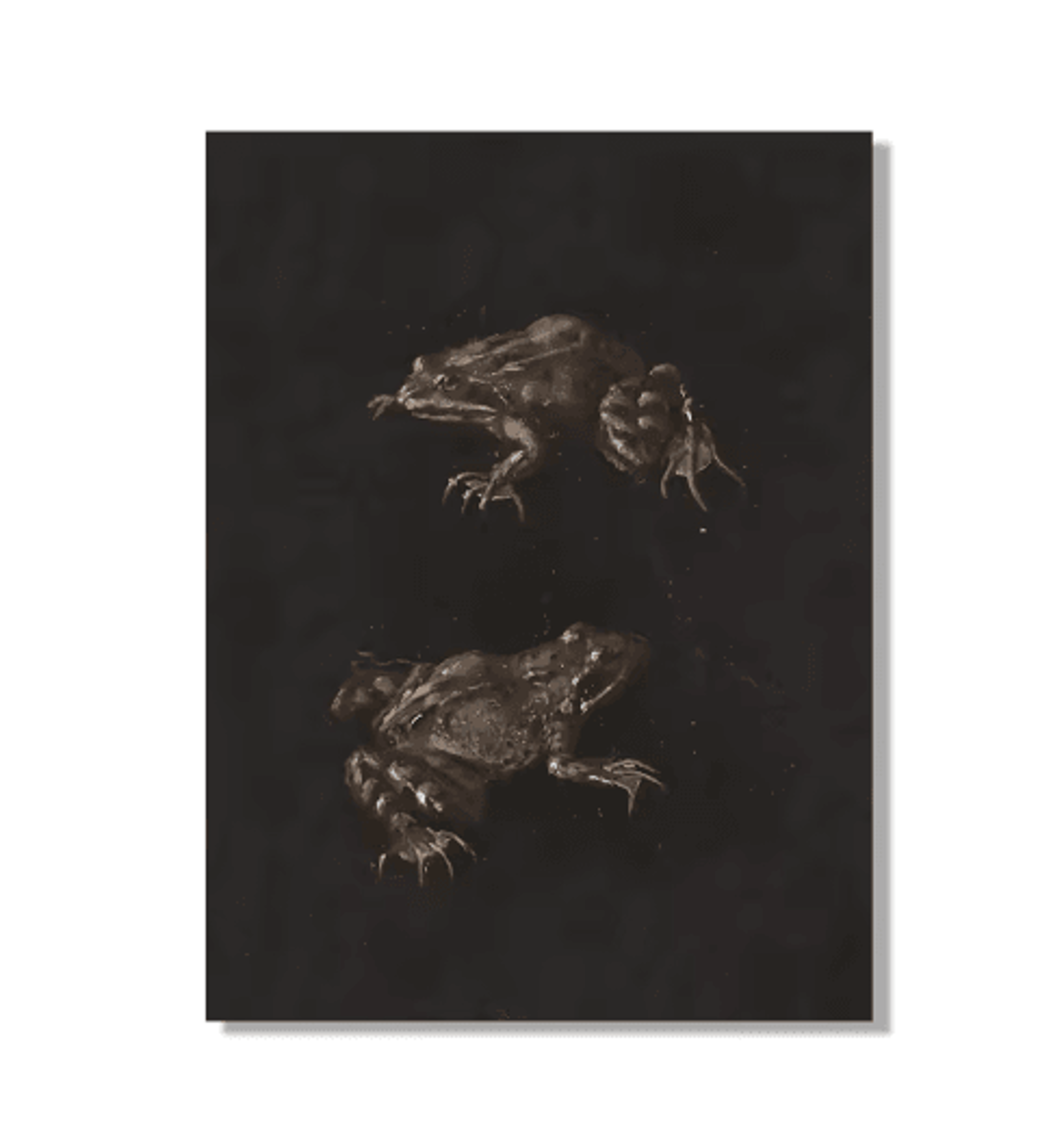 Vintage Owl Wall Art Moody Cottagecore Dark Academia Nature Canvas Print 8
