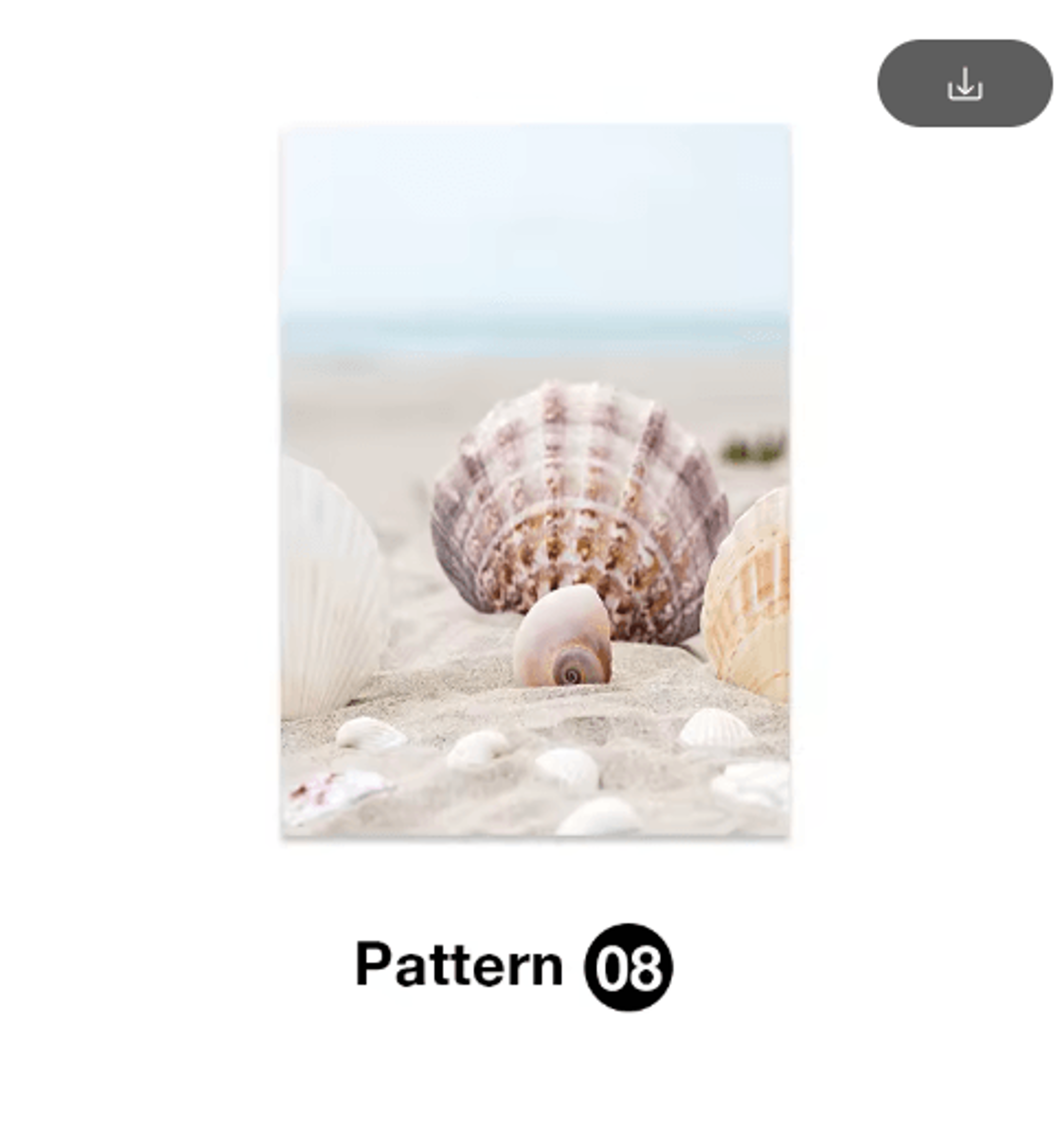 Tropical Ocean Shell Canvas Wall Art  Summer Coastal Living Room Decor 1