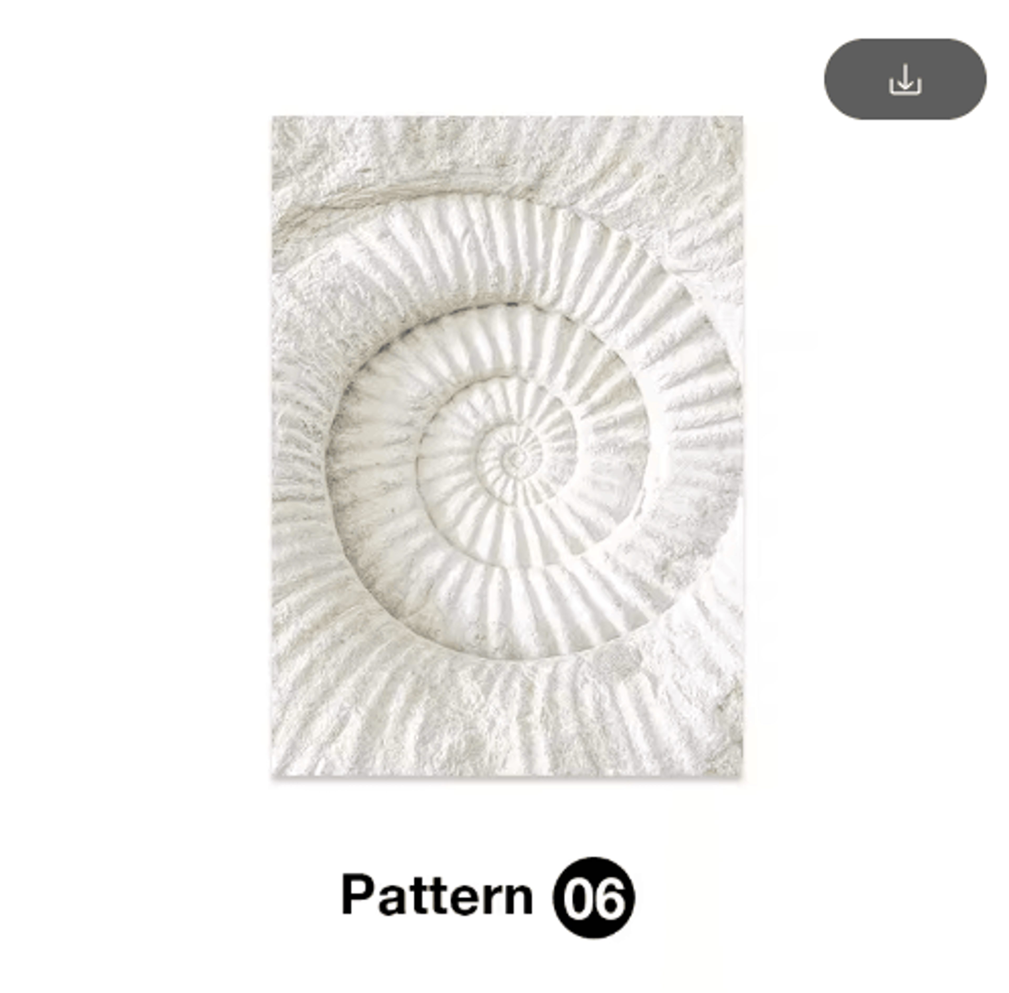 Tropical Ocean Shell Canvas Wall Art  Summer Coastal Living Room Decor 8
