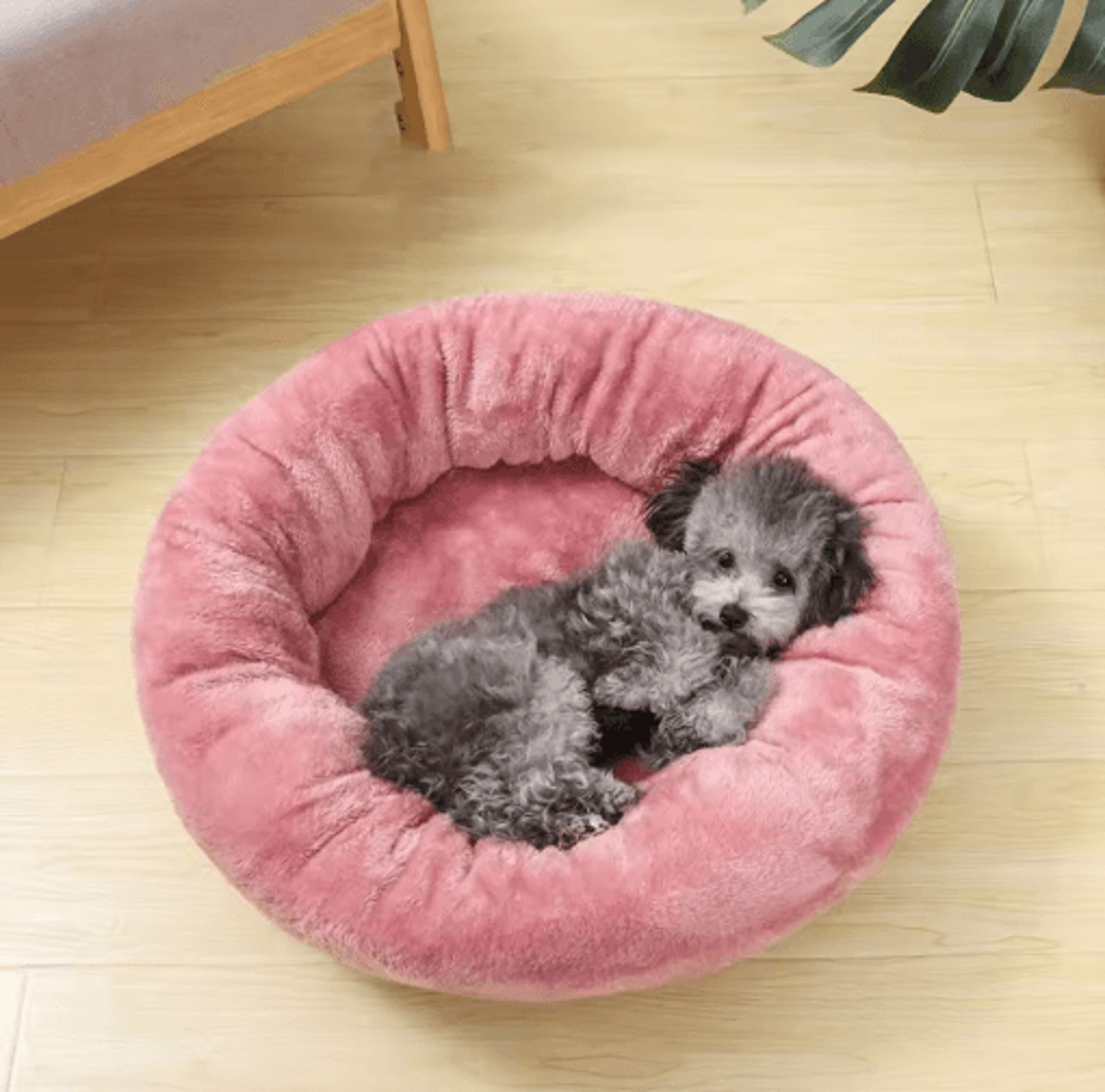 Comfortable Donut Pet Bed  Soft Washable Round Cushion For Dogs  Cats 5