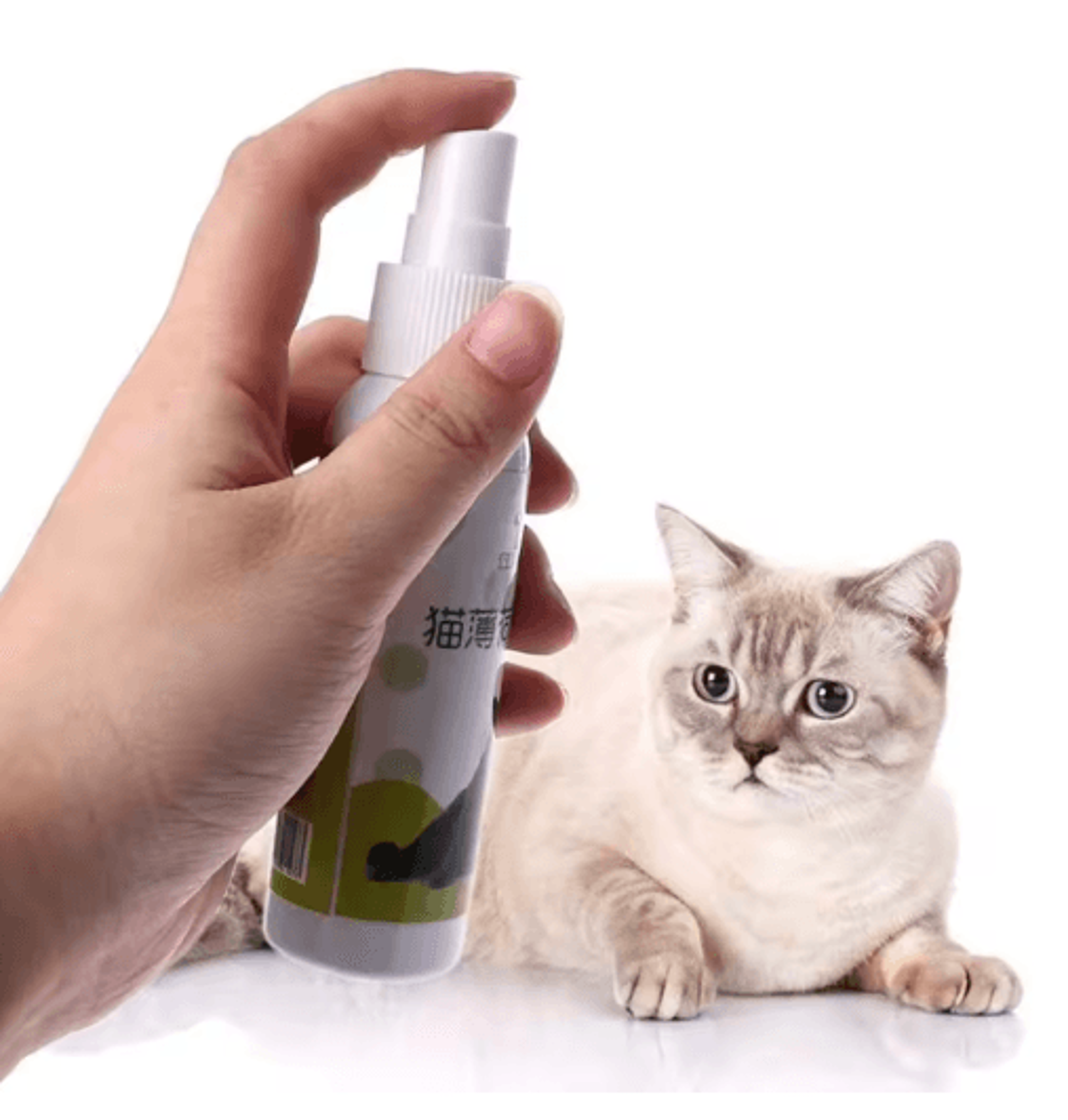 Natural Catnip Spray For Cat Training Play  Teeth Cleaning Support 9