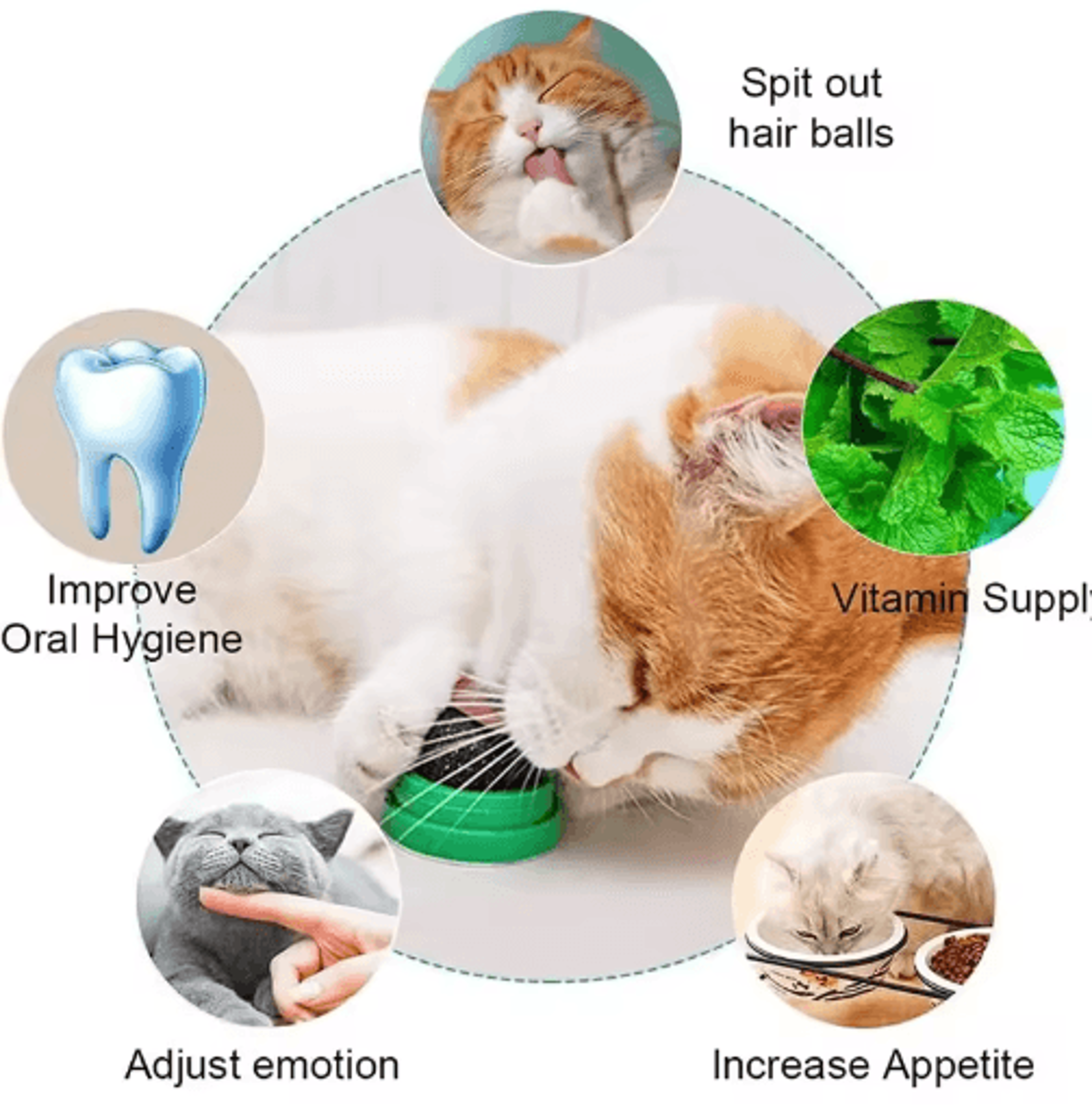 Lickable Catnip Ball Toy For Chewing Play  Teeth Cleaning 8