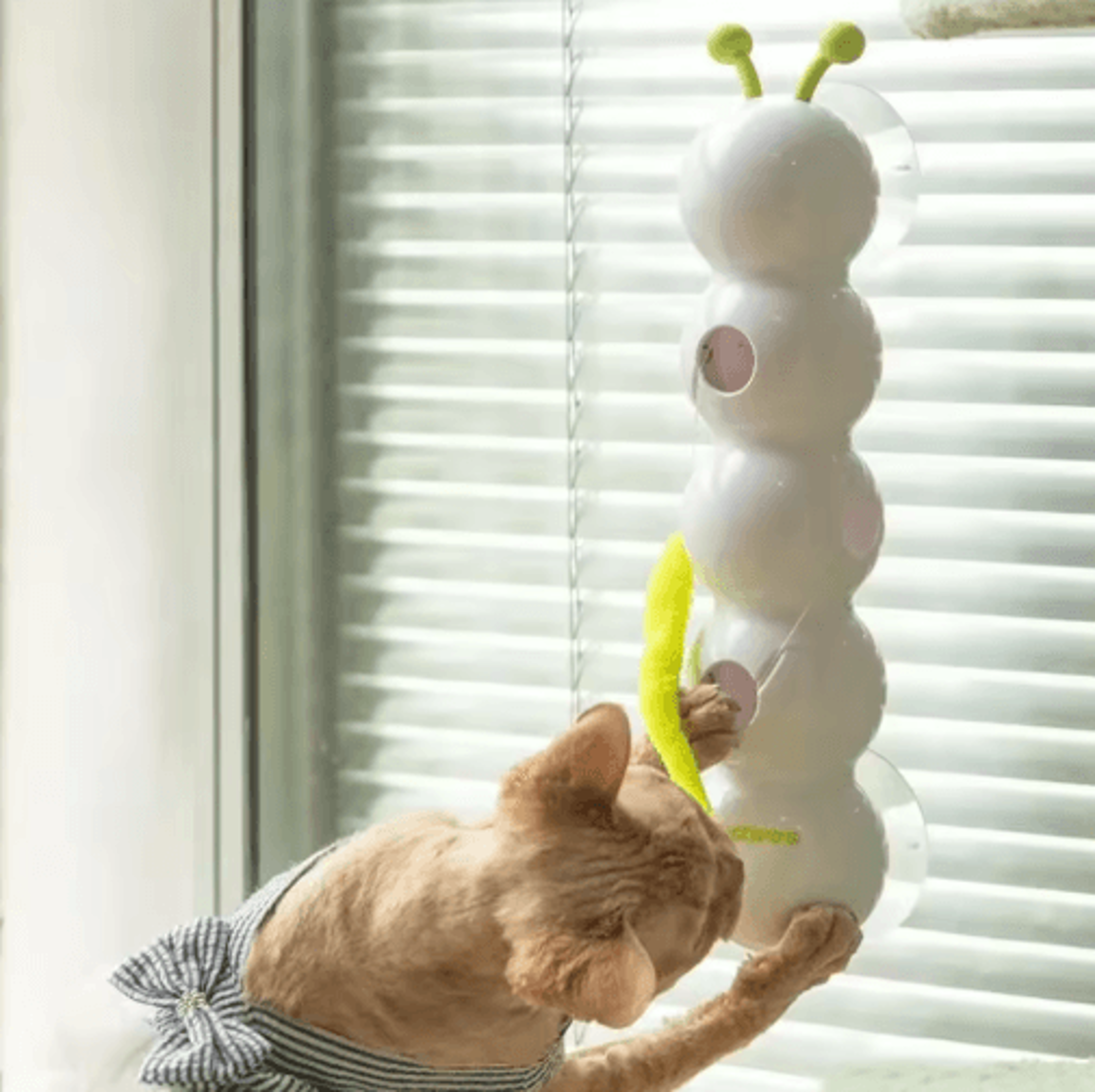Interactive Motion Activated Cat Toy  Automatic WackAWorm Teasing Toy With Moving Tail 5