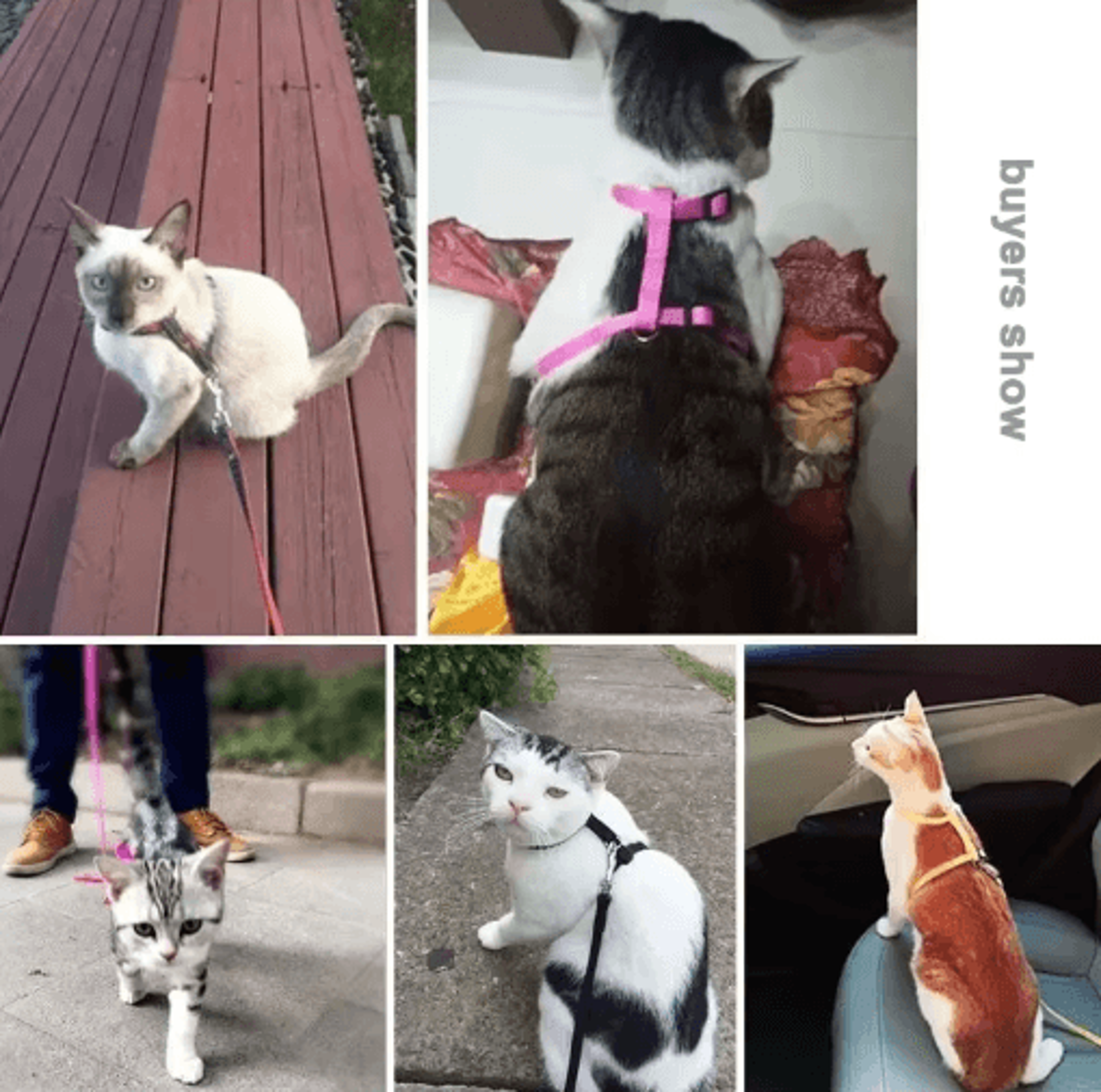 Escape Proof Pet Harness And Leash Set For Small Dogs  Cats 12