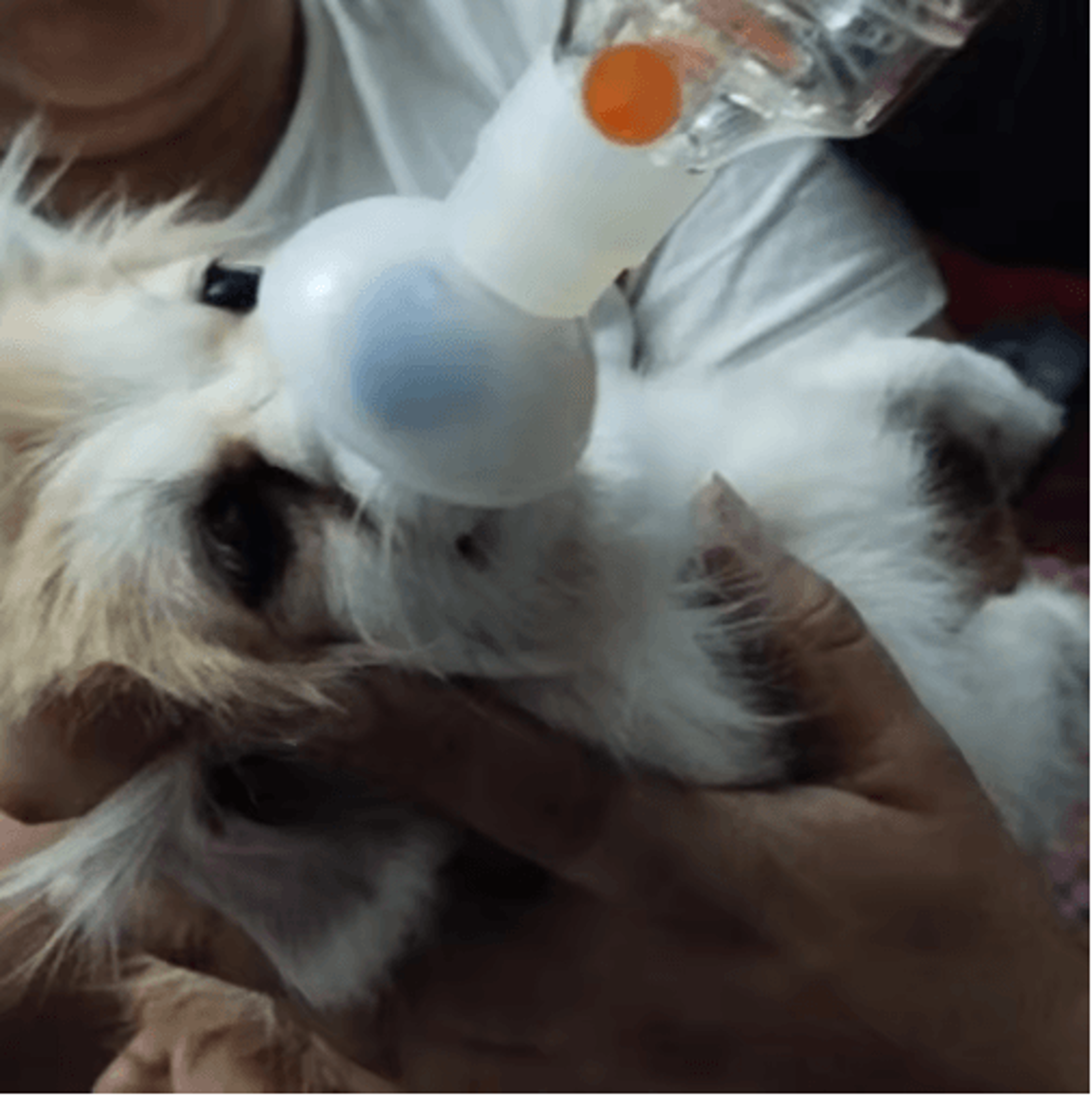BreatheEasy Pet Inhaler Spacer Chamber With Silicone Mask For Cats  Dogs 5
