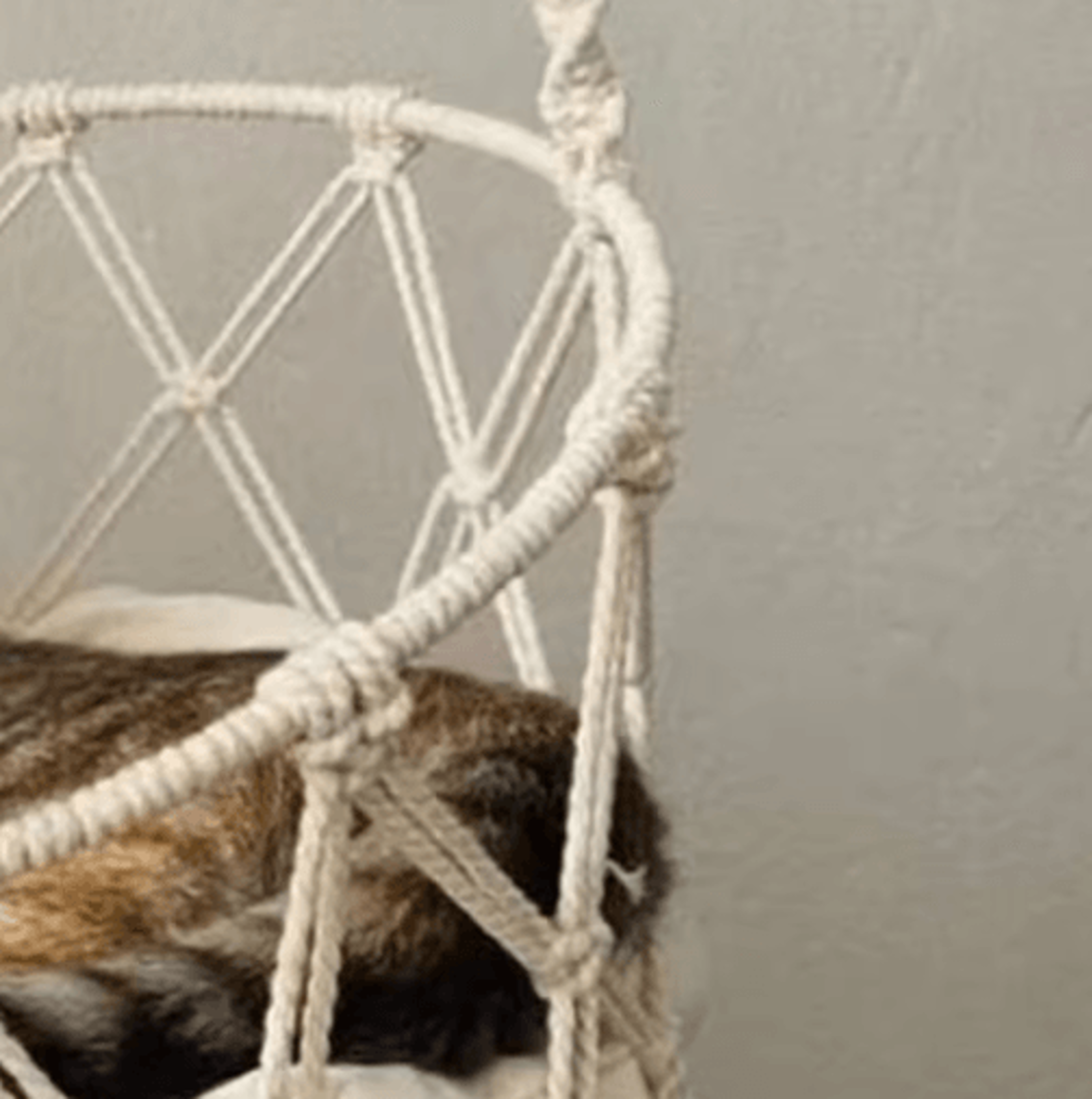 HandWoven Boho Hanging Cat Hammock Cozy Elevated Bed For Kittens  Cats 5