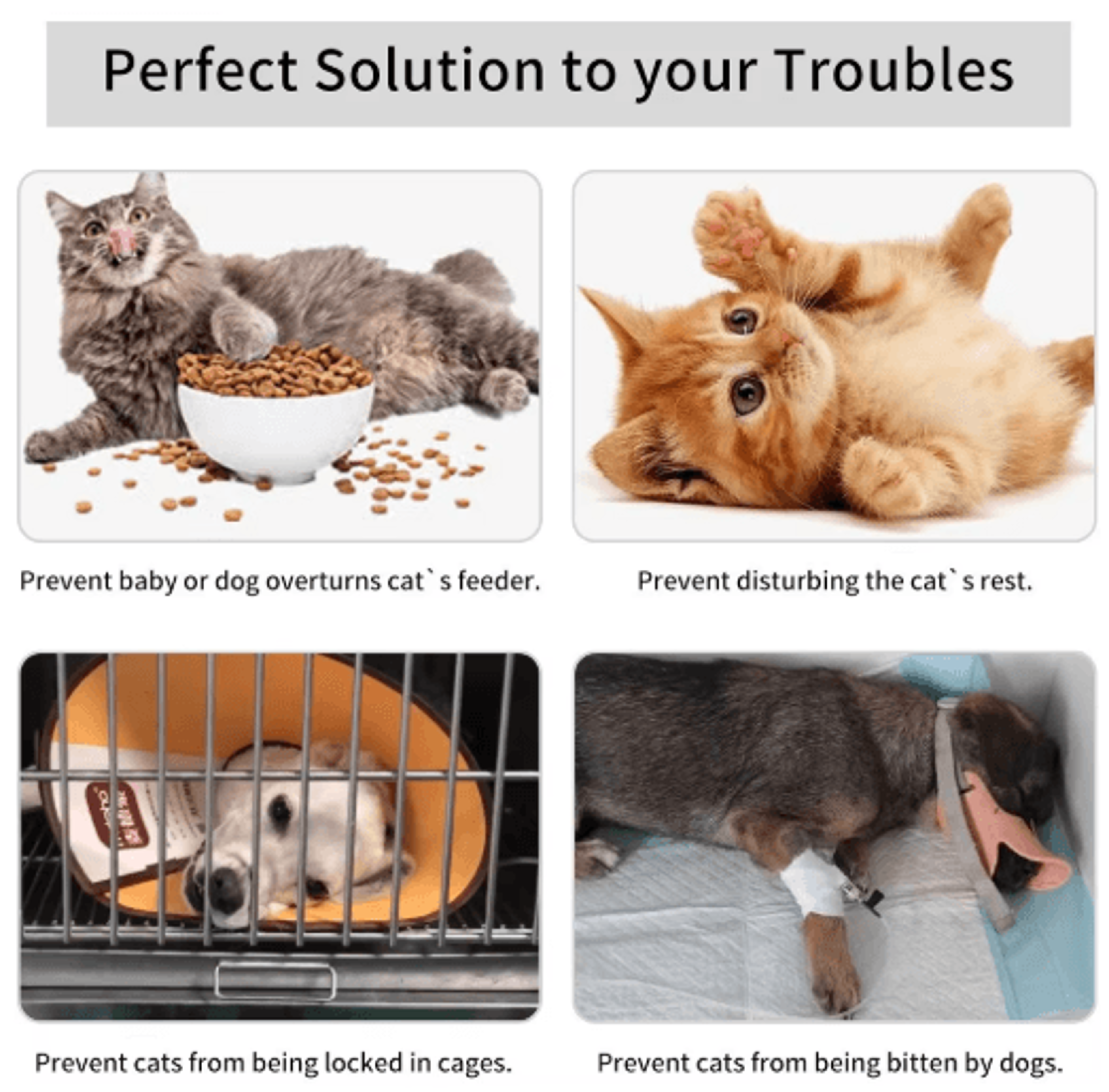 MDMWL01 Cat Ring Door Holder  Cute CatShaped Door Stopper  Door Opener 8