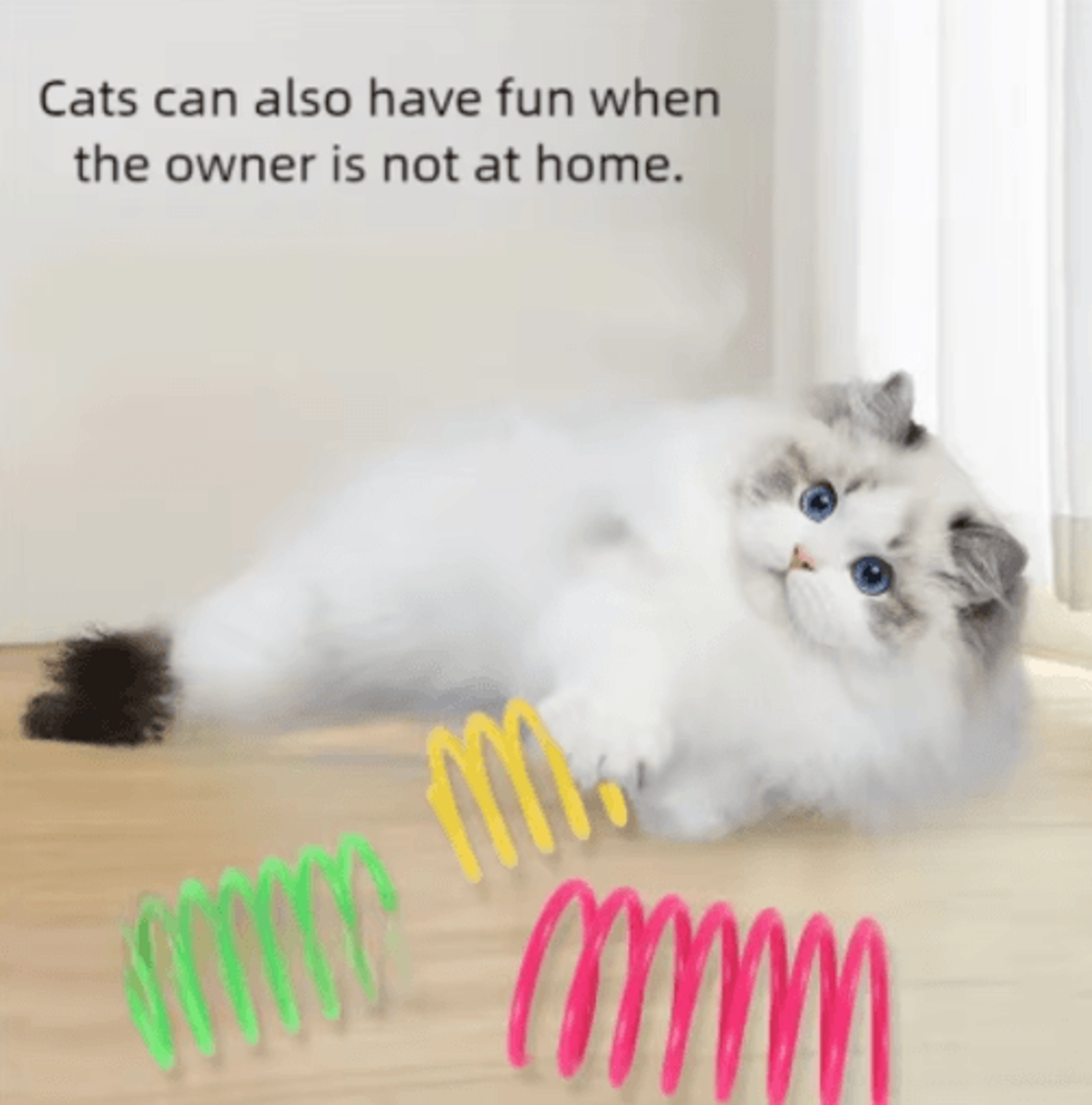 Interactive Cat Spring Toy Set Colorful Cat Spring Toys For Indoor Hunting  Play 9