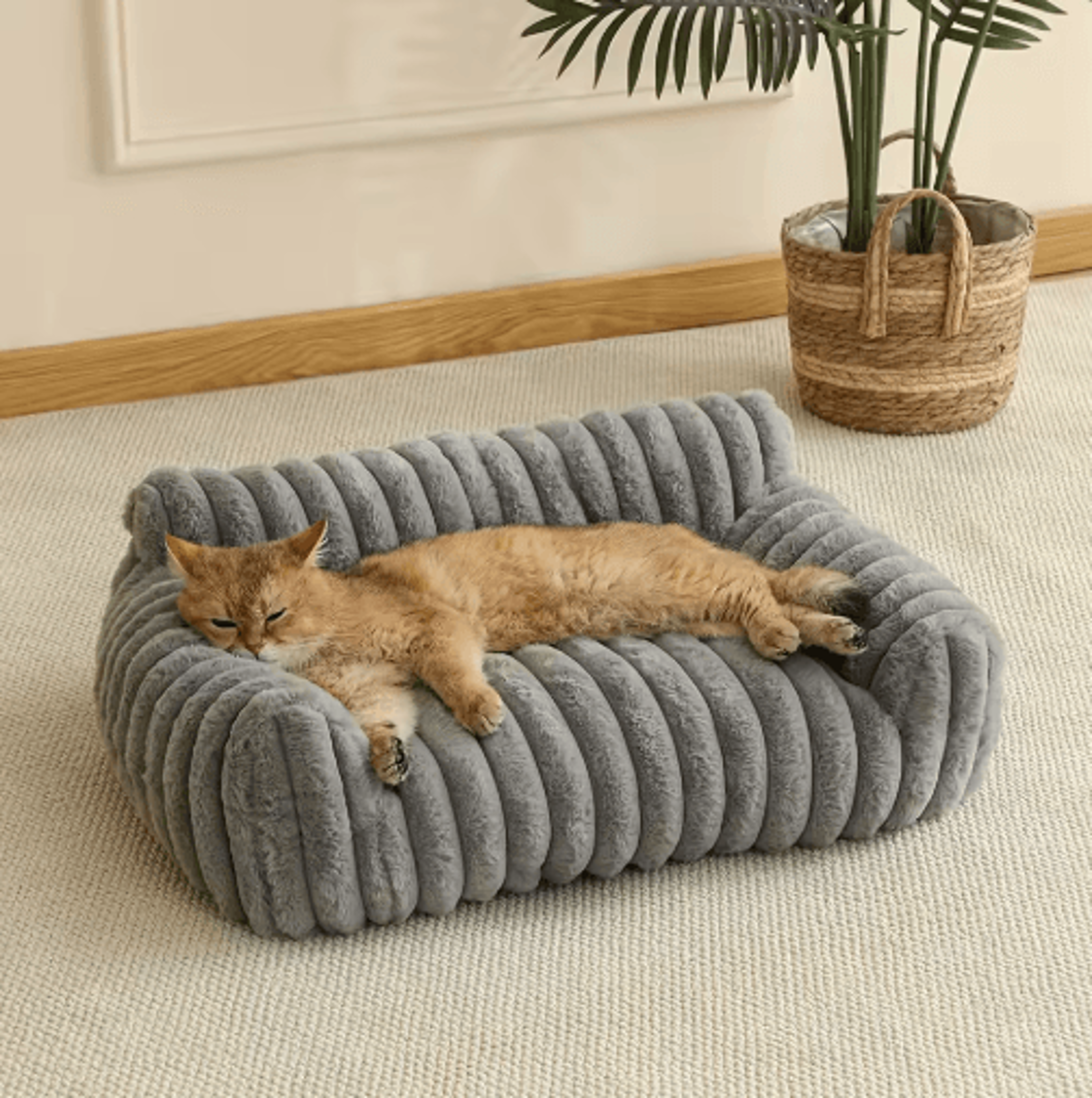 Cozy Striped Cat Sofa Bed Cat Sofa Bed For Small To Medium Cats With Soft All Season Comfort 2