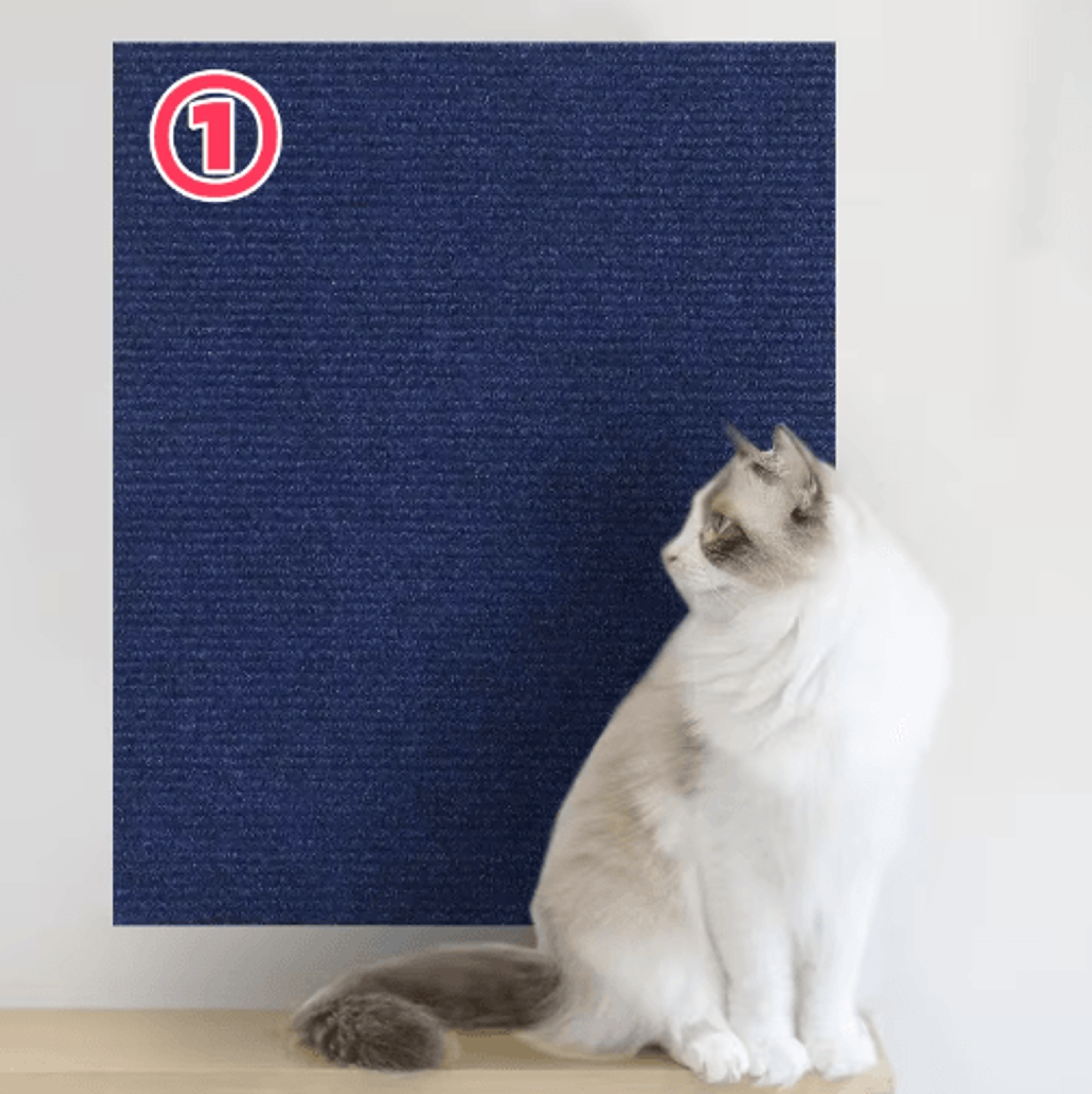 ShieldGuard SelfAdhesive Cat Scratch Furniture Protector Mat 8