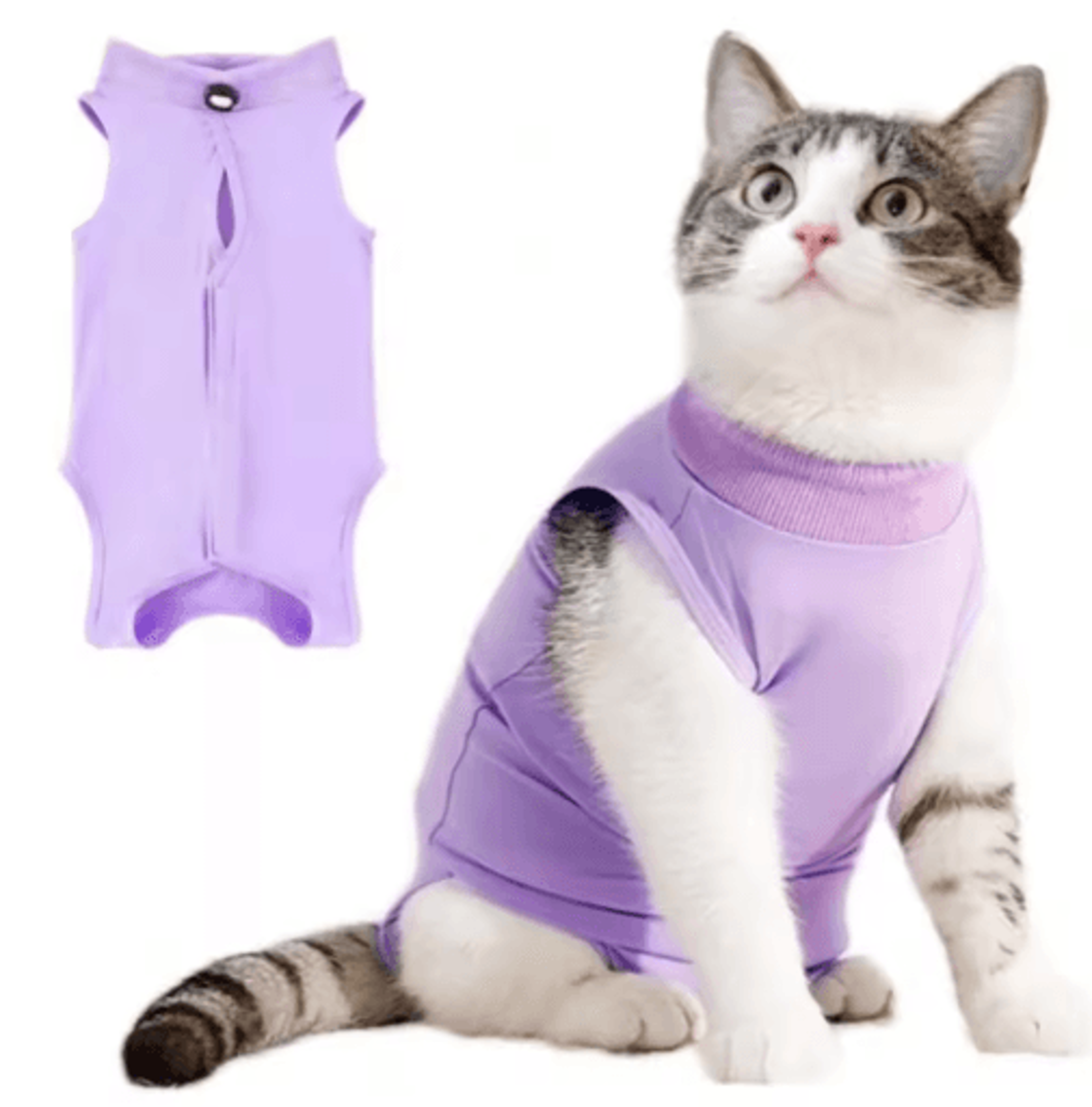 Comfort Care Soft Cat Recovery Suit For Post Surgery Healing 5