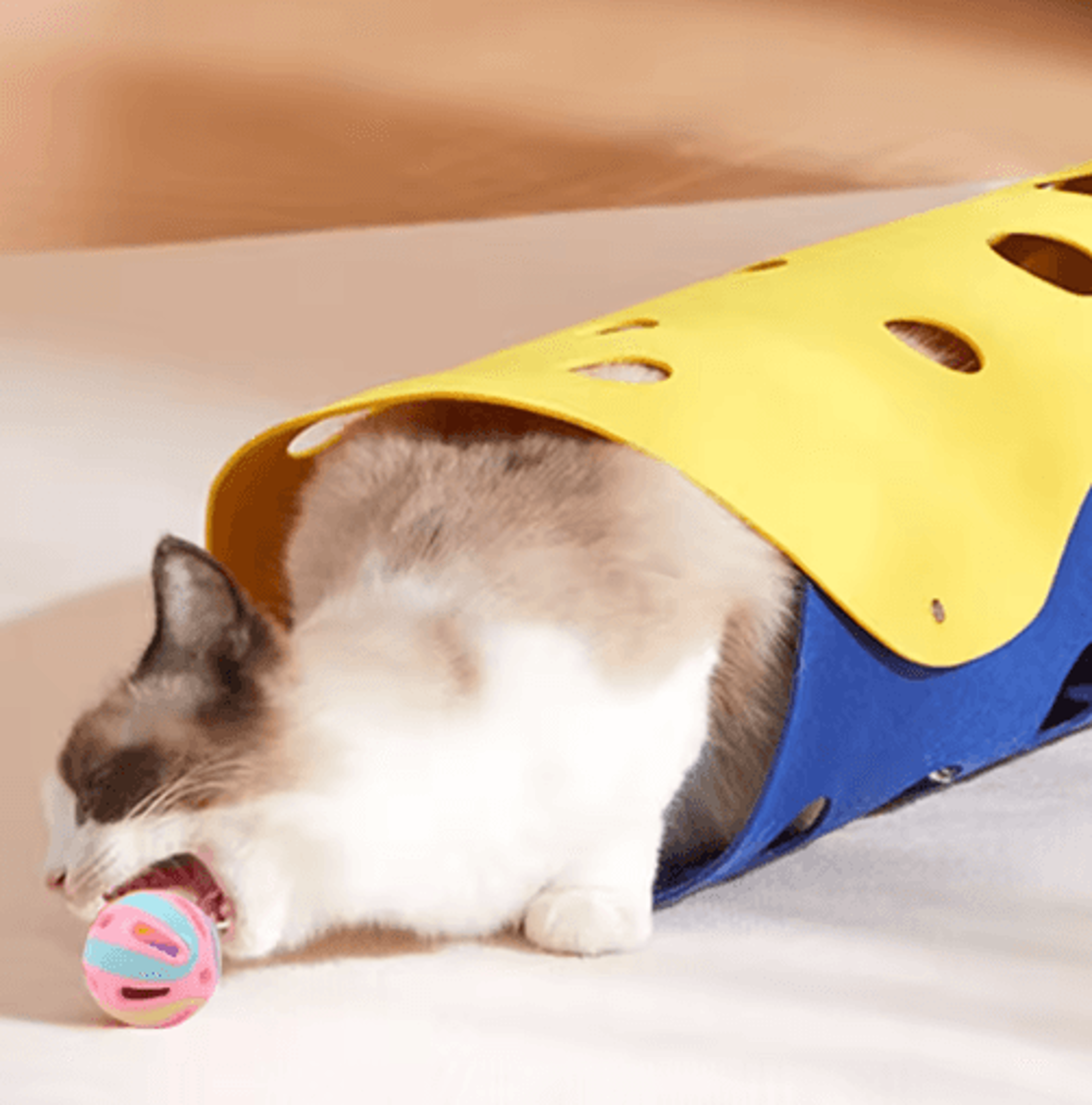 Jingle Chase Bell Ball Cat Toy Set Colorful Interactive Rolling Balls For Curious Cats  Kittens 2