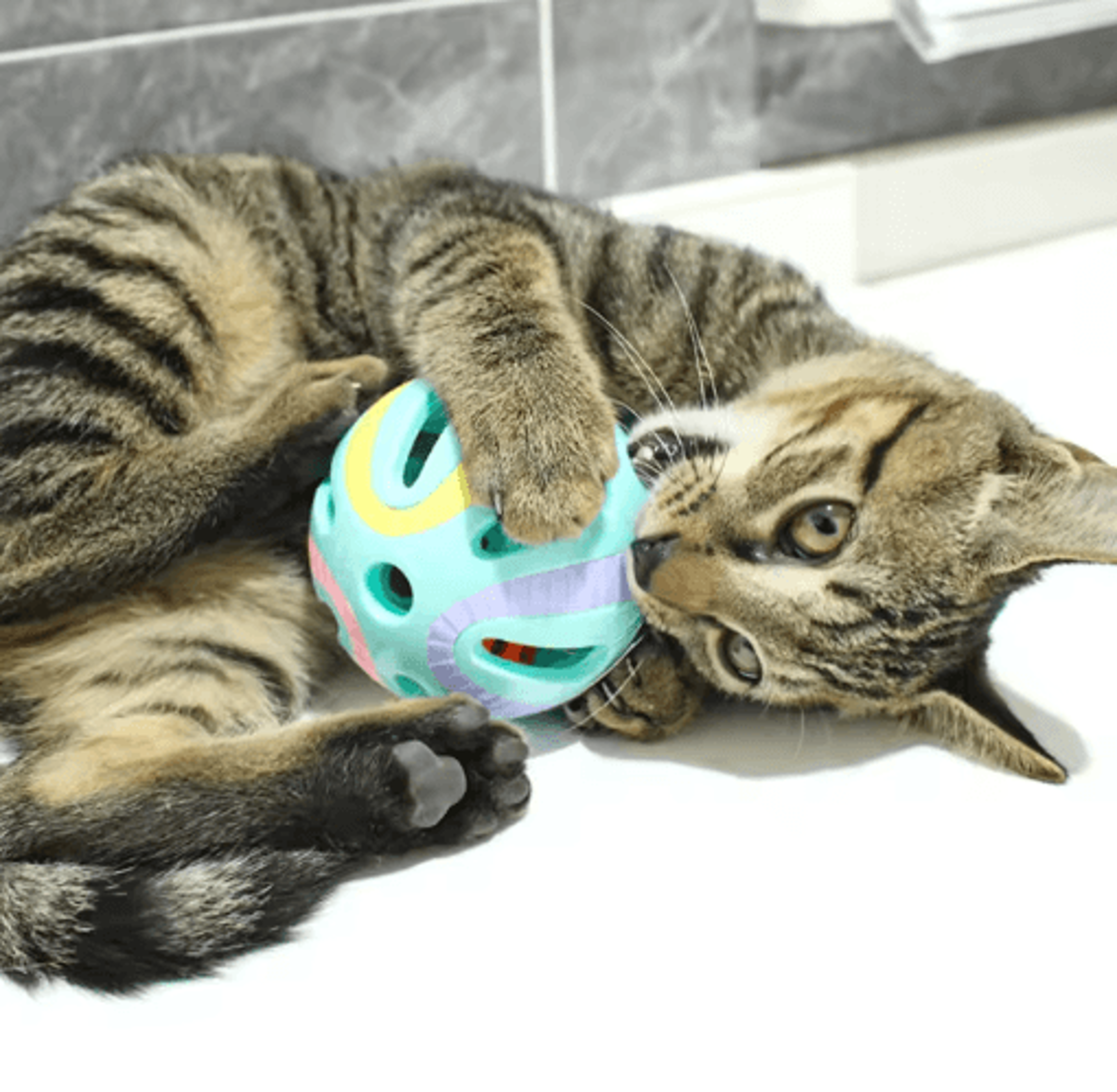 Jingle Chase Bell Ball Cat Toy Set Colorful Interactive Rolling Balls For Curious Cats  Kittens 5
