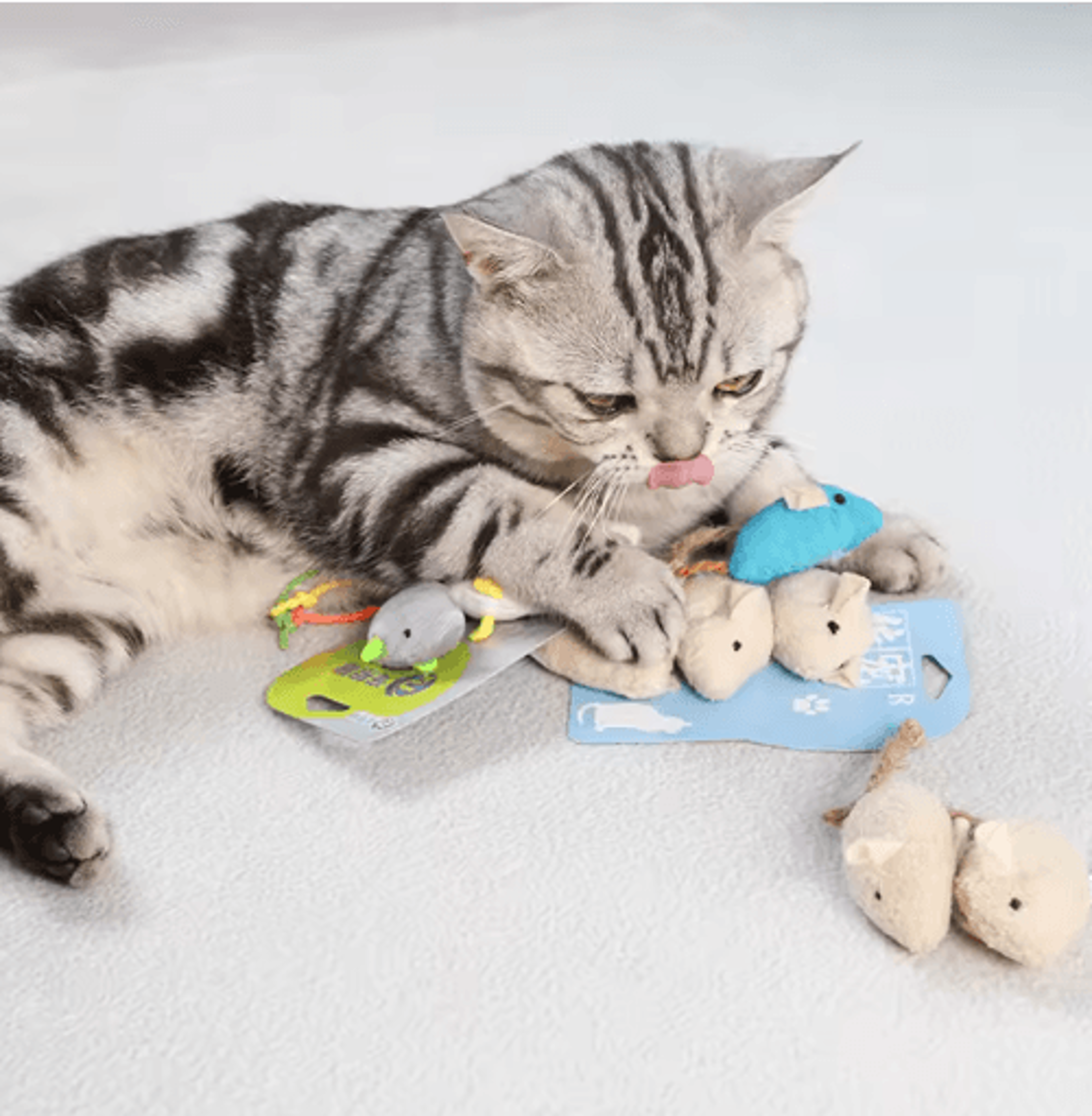 Catnip Plush Mouse Toy Set For Interactive Cat And Kitten Play 4