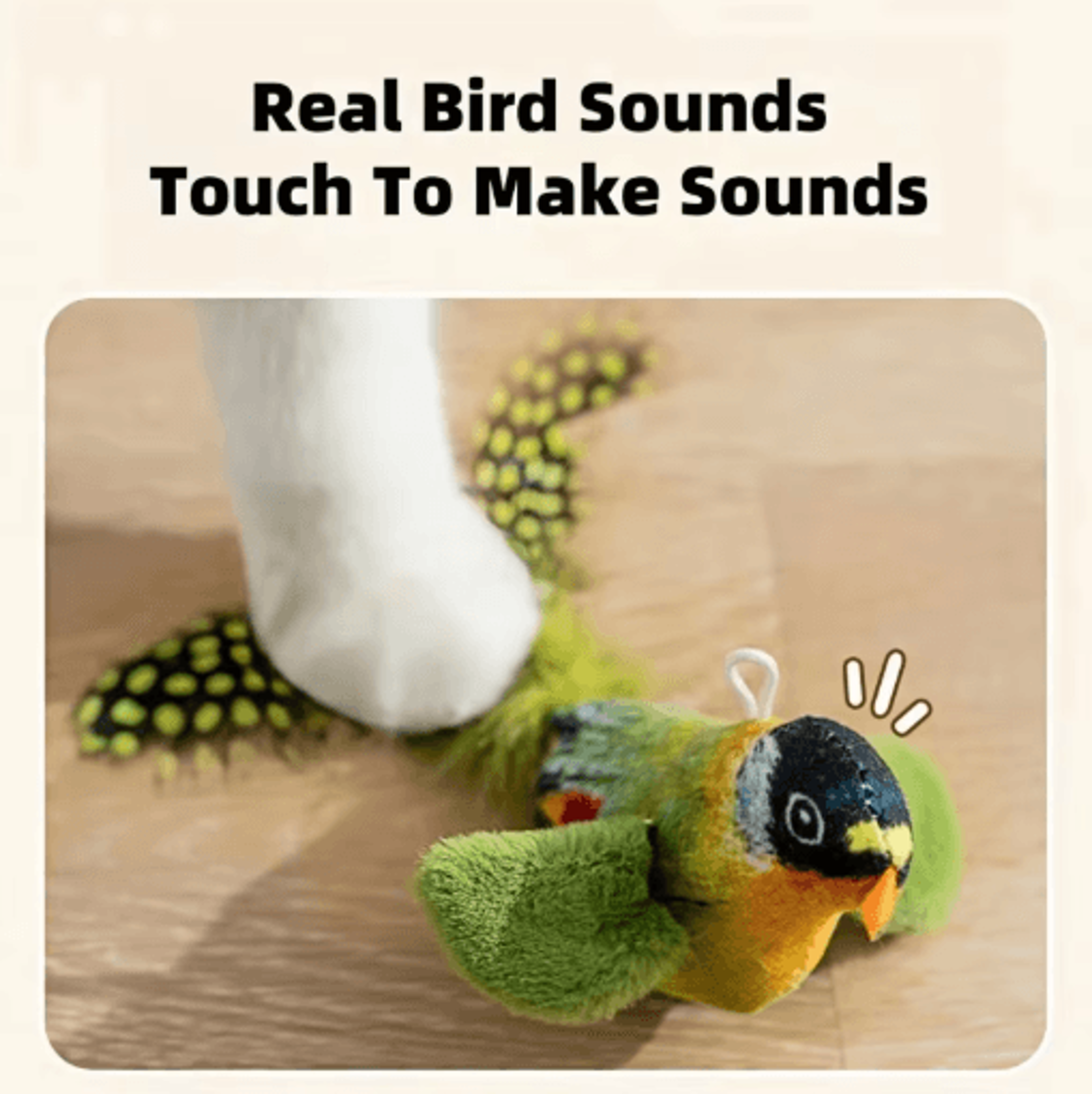Interactive Chirping Bird Cat Toy With Catnip For Indoor Cats 4