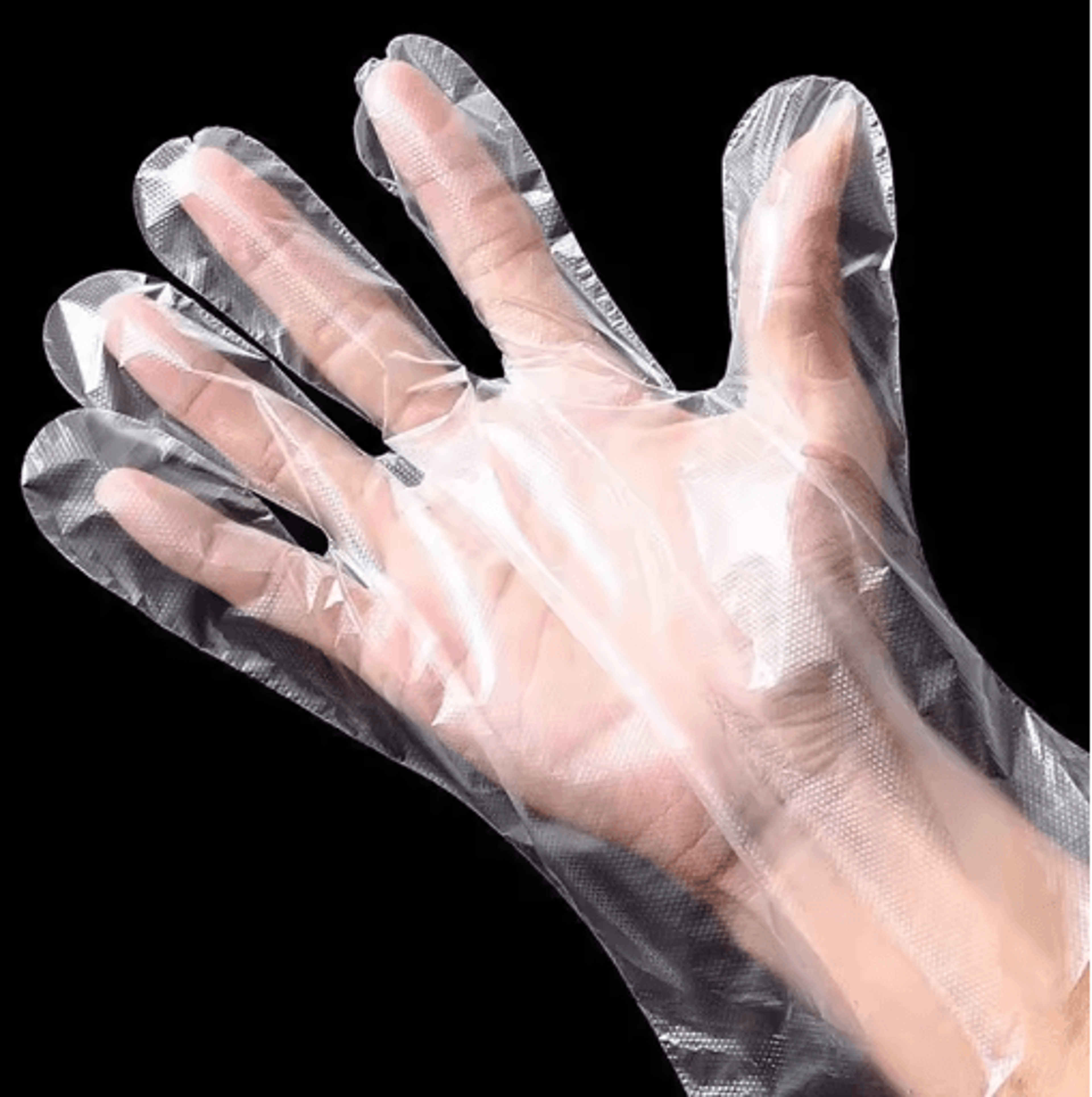 Transparent Disposable Plastic Gloves  Waterproof Food Handling Gloves For Kitchen BBQ  Restaurant  6