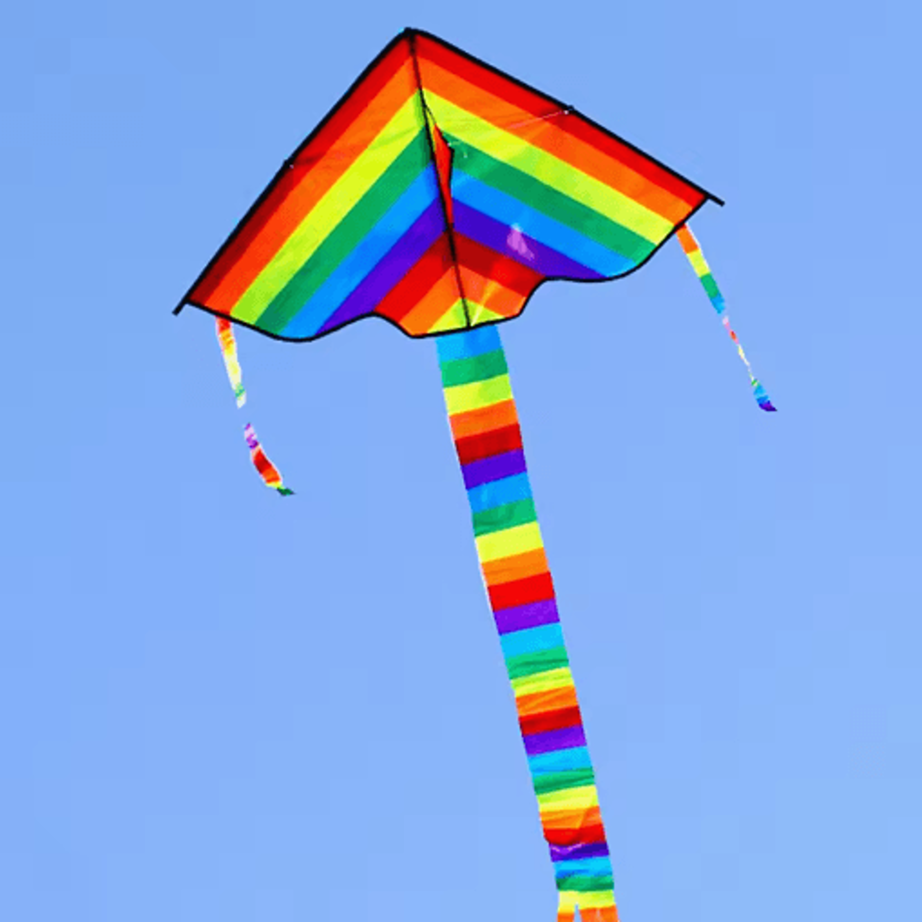 Professional Delta Rainbow Kite  Outdoor Beach Flying Kite For Adults  Families 1