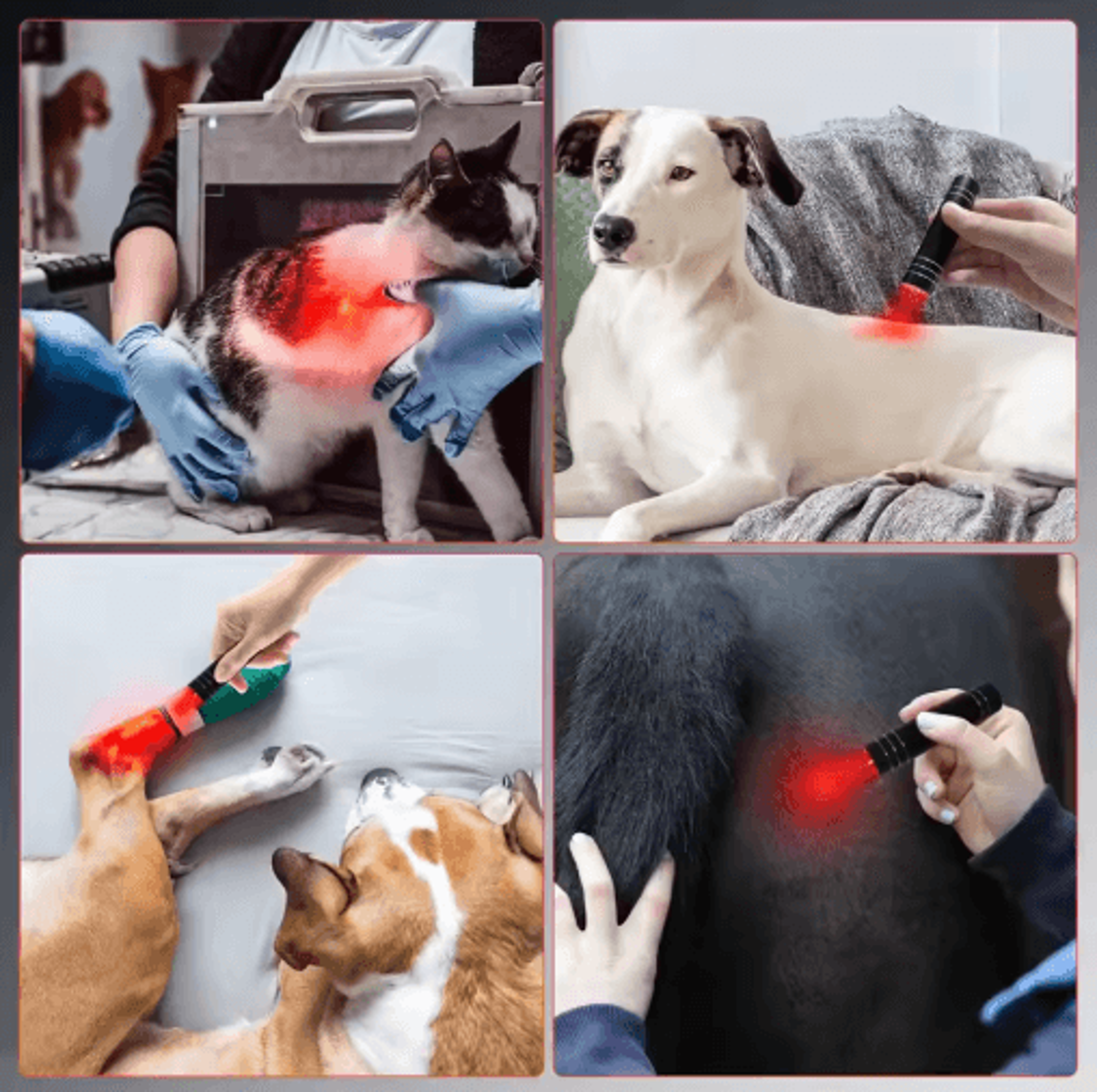 Portable Red Light Therapy Lamp  660nm Red  850nm Infrared LED Therapy Torch With Timer 4
