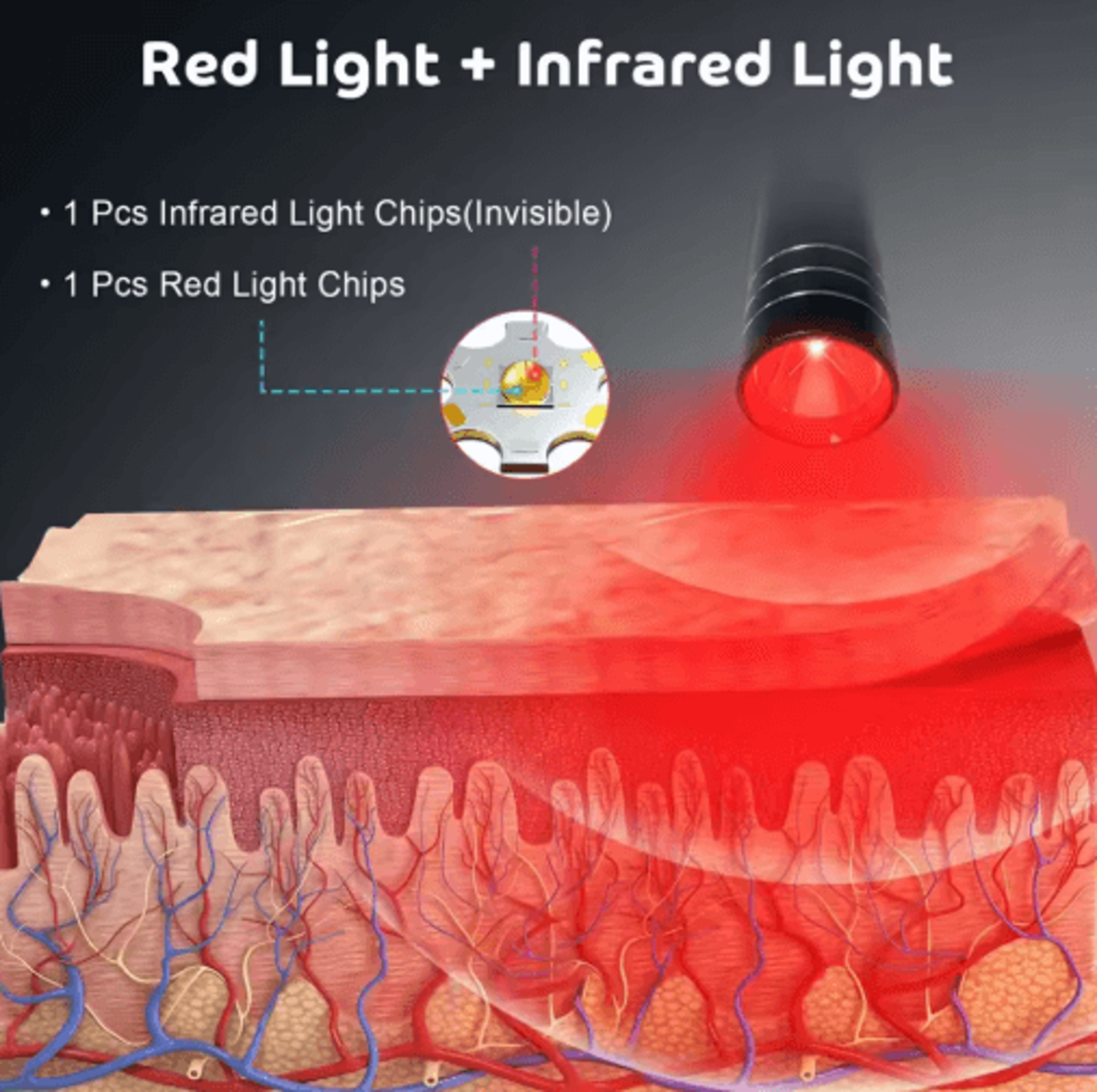 Professional Red  Blue LED Light Therapy Flashlight  Portable Handheld Light Device 4