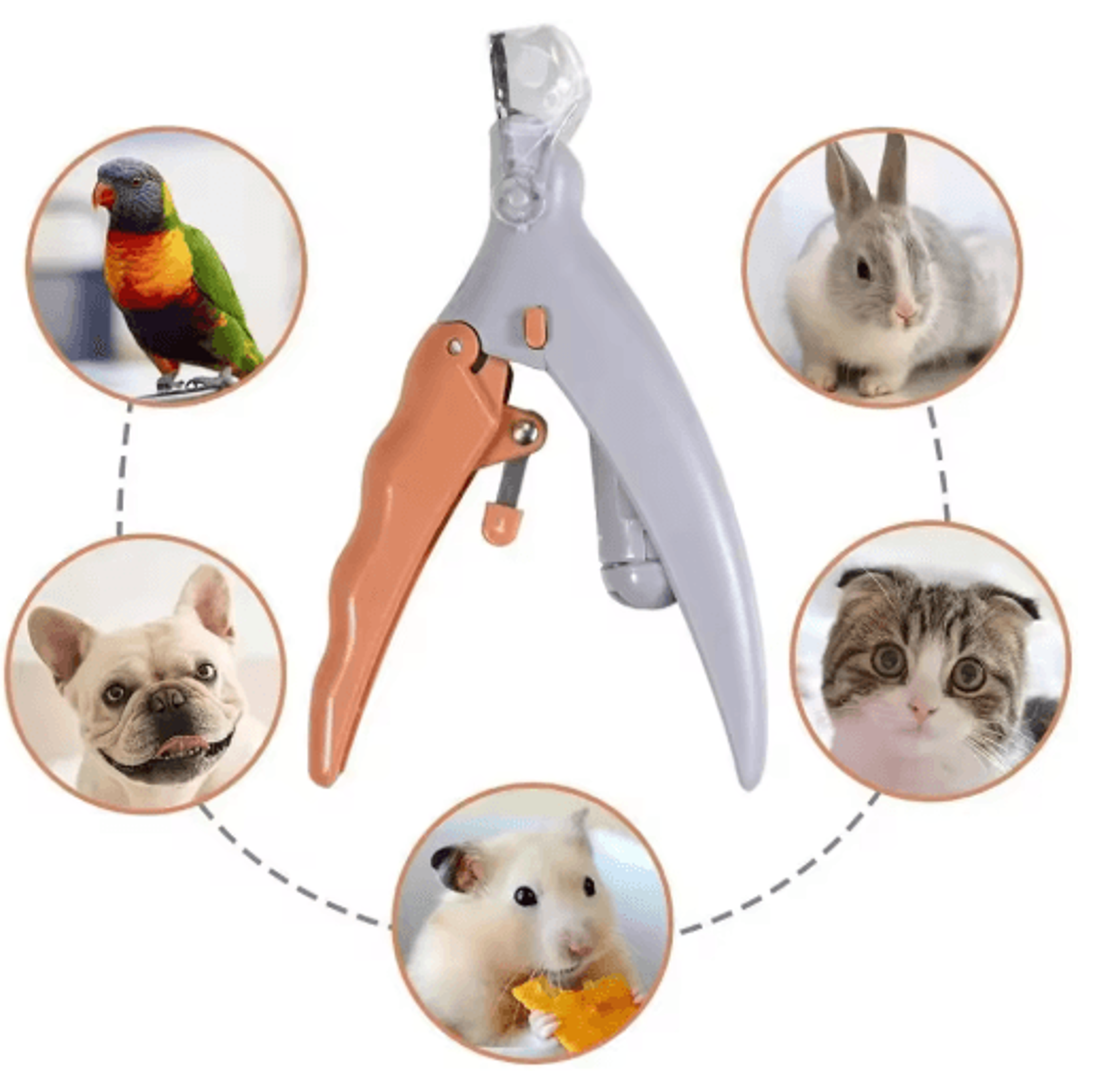 LED Pet Nail Clippers Dog Nail Clippers Cat Nail Trimmer Pet Grooming Scissors Pet Nail Cutter 5