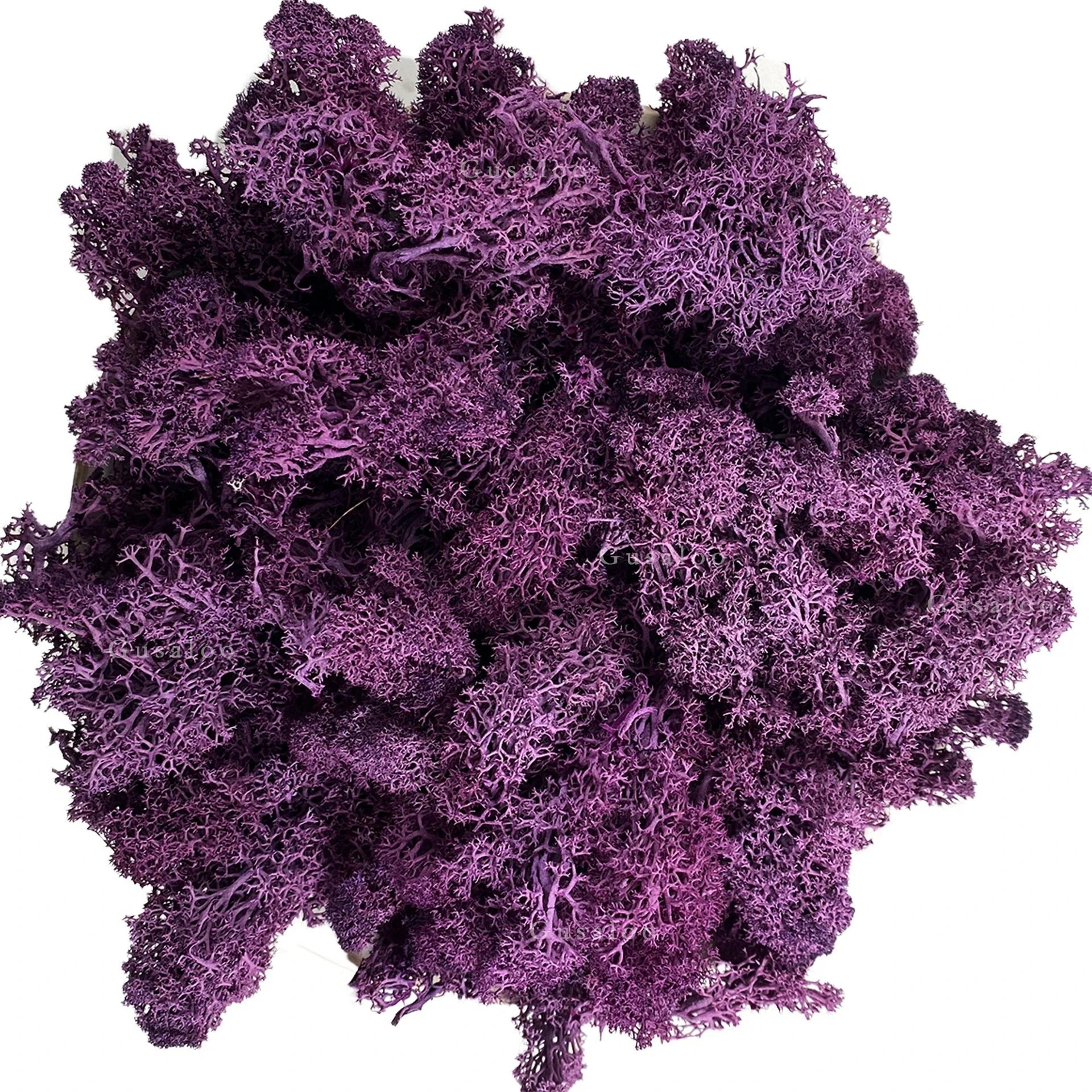 Artificial Reindeer Moss Decor Green Moss Filler For Crafts And Wall Design 15