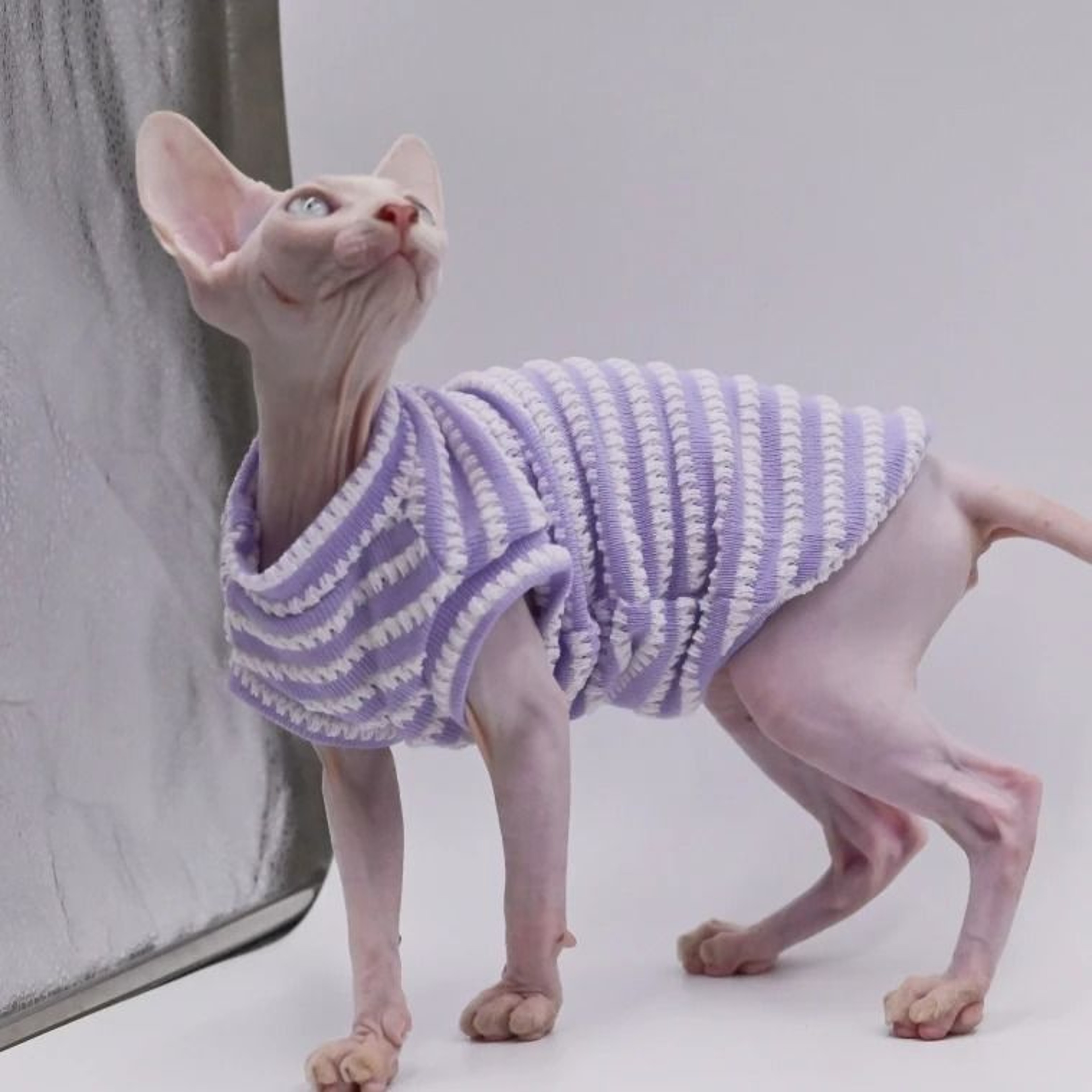 DUOMASUMI Summer Sphynx Cat Vest Stretch Cotton Cooling Top For Hairless Cats Daily Comfort Wear 0